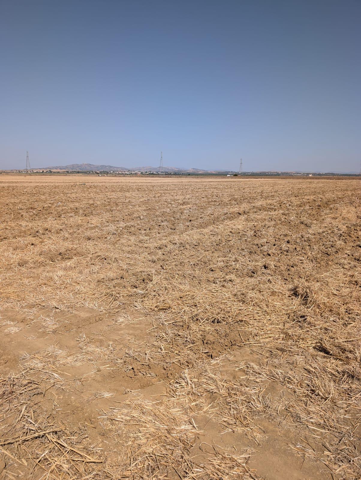 Terrain Terrain agricole