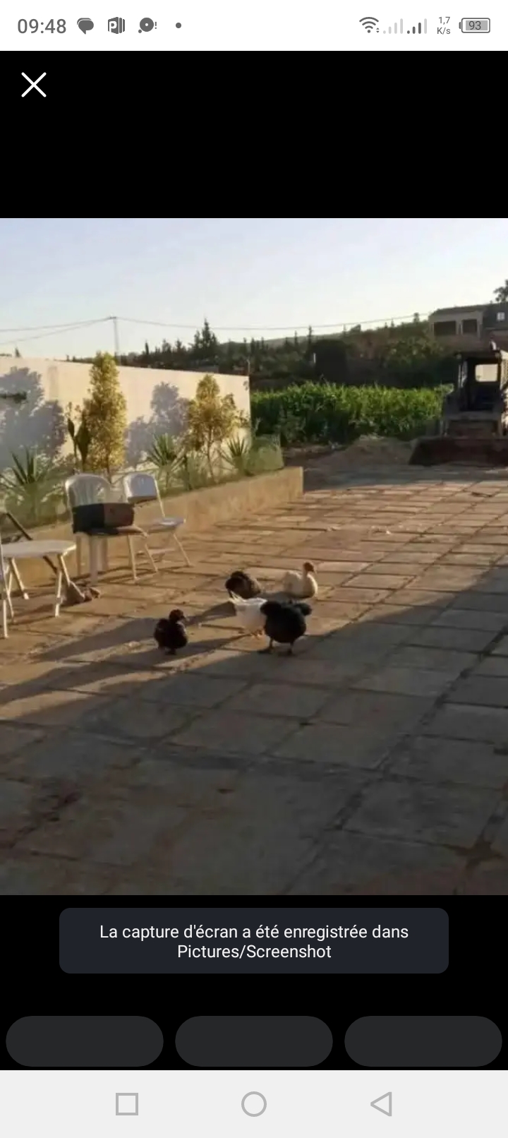 Bab Bhar Bab Bhar Achat Maisons Ferme du fermier