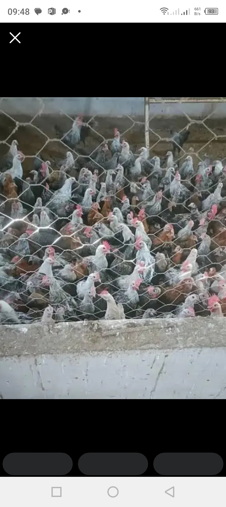 Bab Bhar Bab Bhar Achat Maisons Ferme du fermier