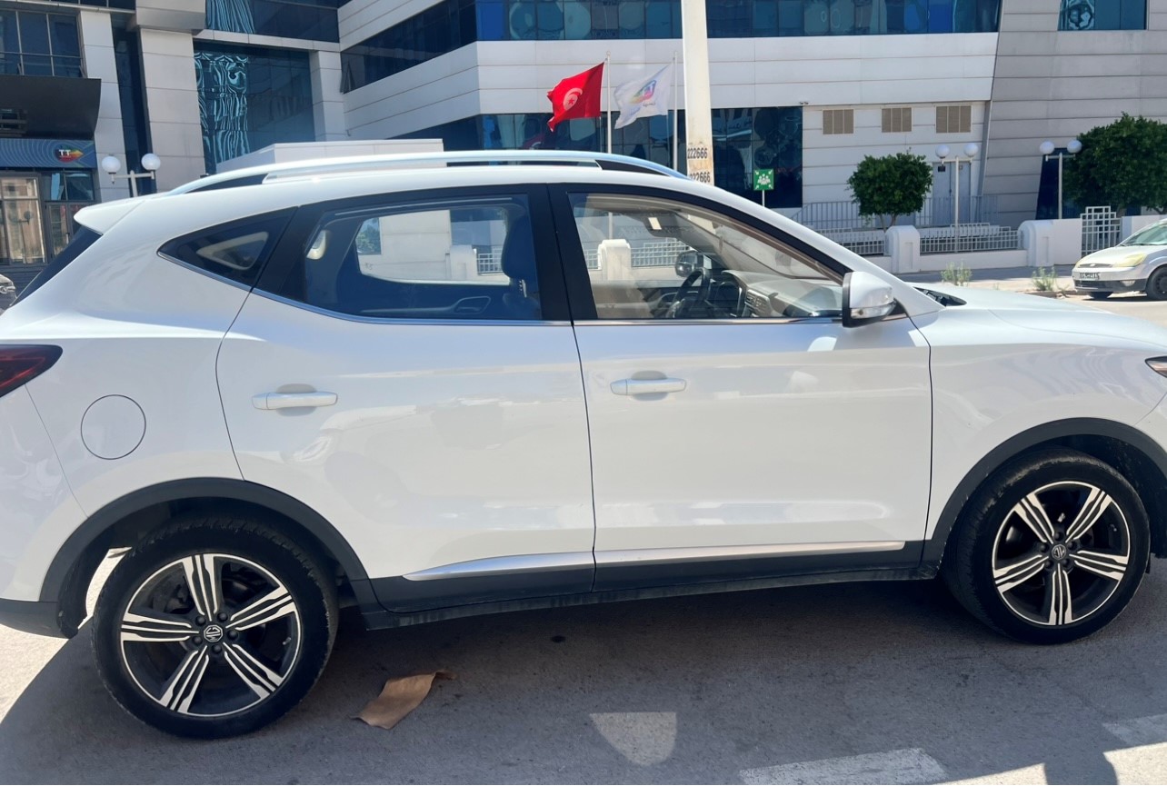 Mg ZS