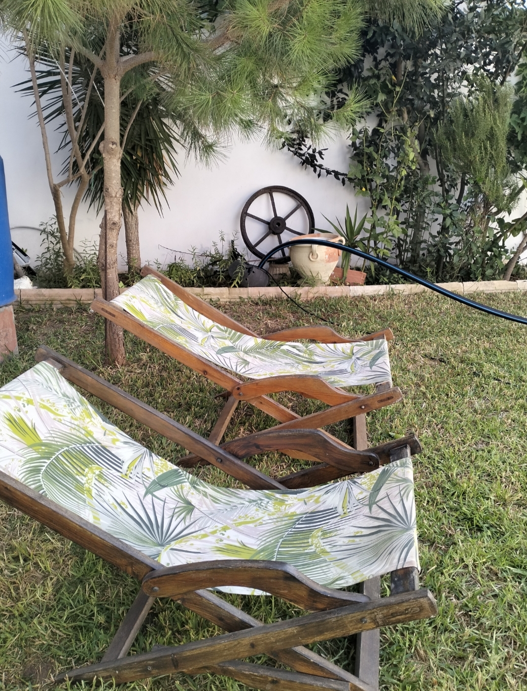 El Haouaria&nbsp;Cite Touristique&nbsp;Location vacances&nbsp;Maisons&nbsp;Magnifique bungalow avec jardin paradisiaque