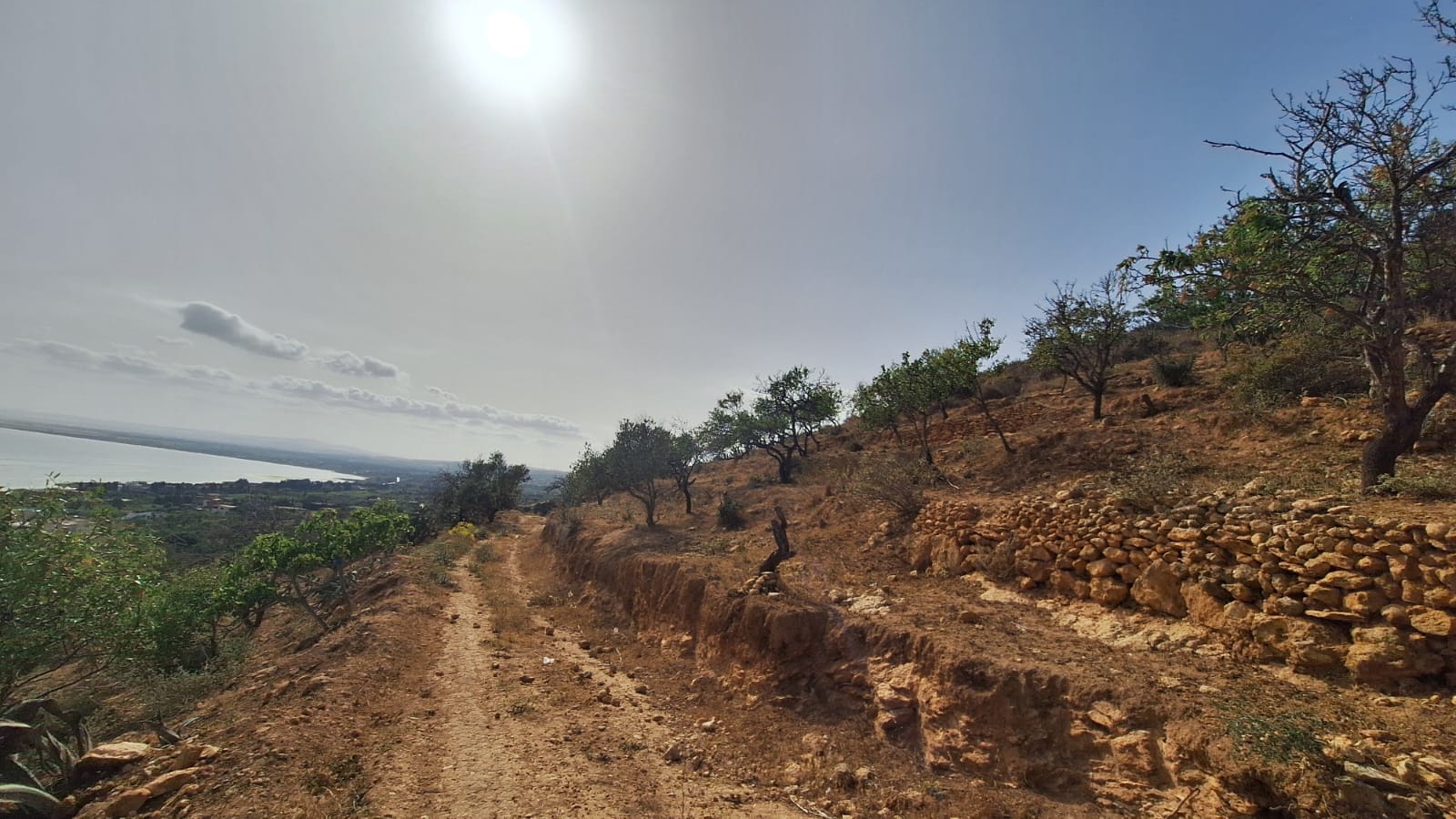 Ghar El Melh Ghar El Melh Terrain Terrain agricole Occasion  ne pas rater