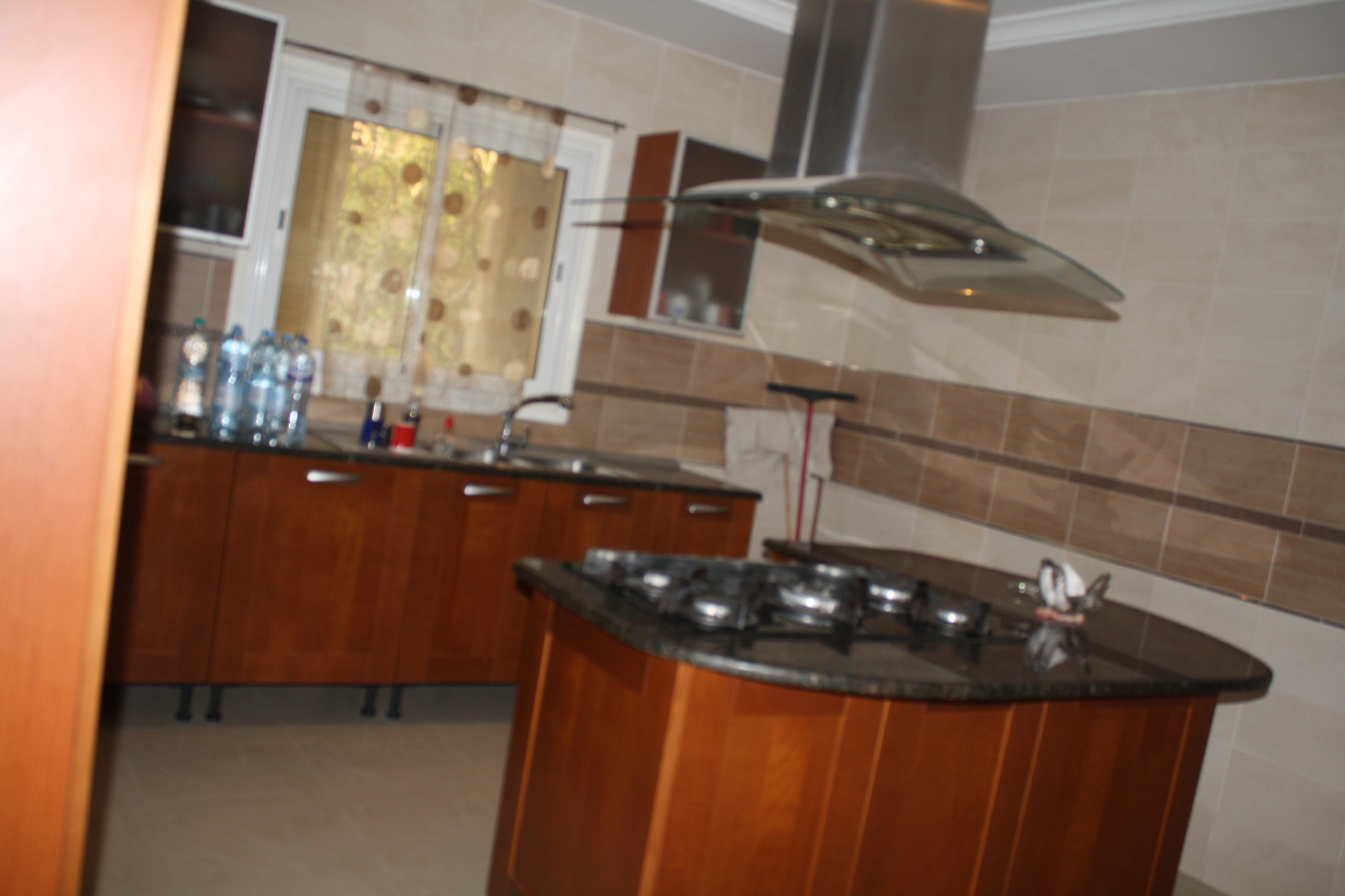 Hammam Chatt Hammam Chatt Vente Maisons Gps villa en duplexe jardin divers  plus appart s2