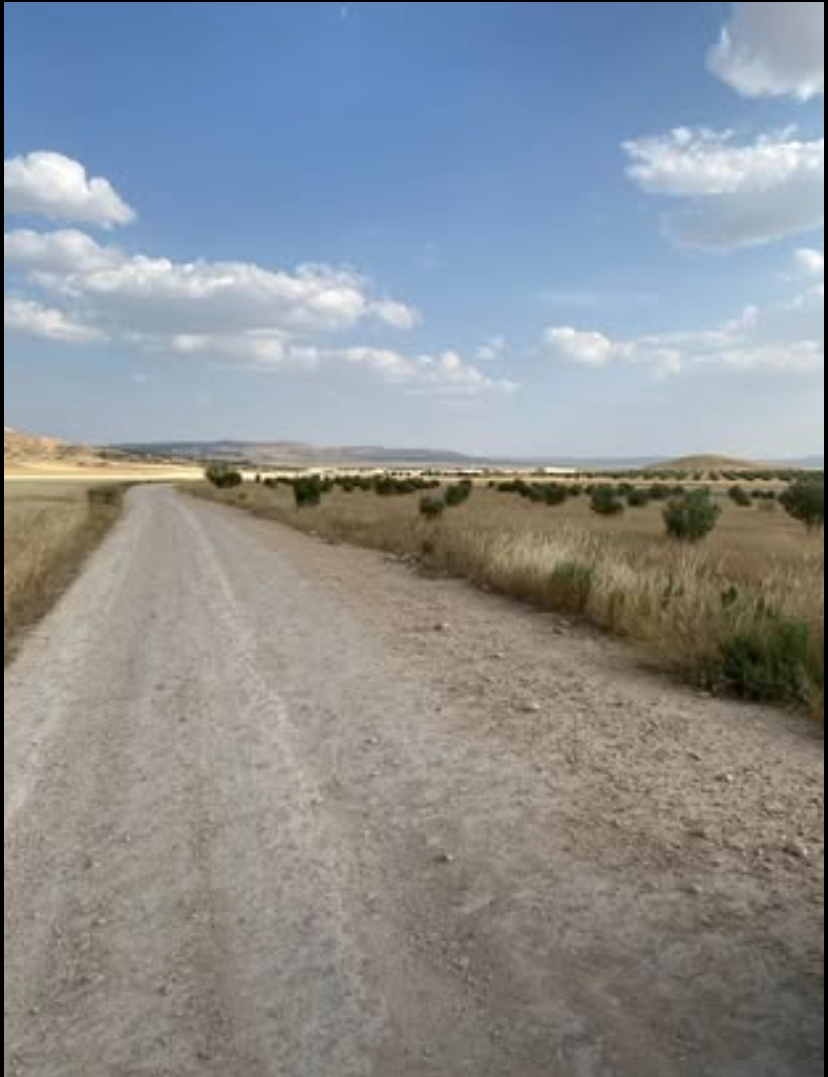 Thala&nbsp;Thala&nbsp;Terrain&nbsp;Terrain agricole&nbsp;Terrain agricole de 7 hectares thala jarda