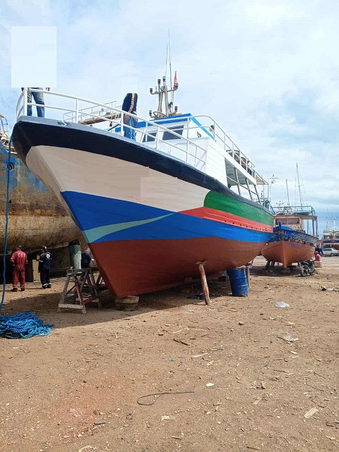 Bateaux  moteurs Bateau de pche