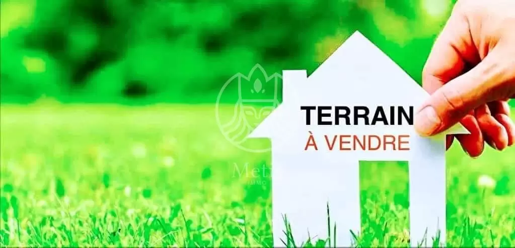 Terrain&nbsp;Terrain nu