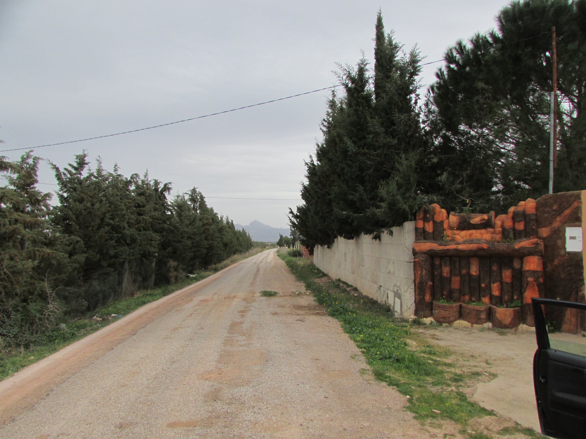 Bir Mcherga Bir Mcherga Terrain Terrain agricole Belle ferme 7 hectares   productive