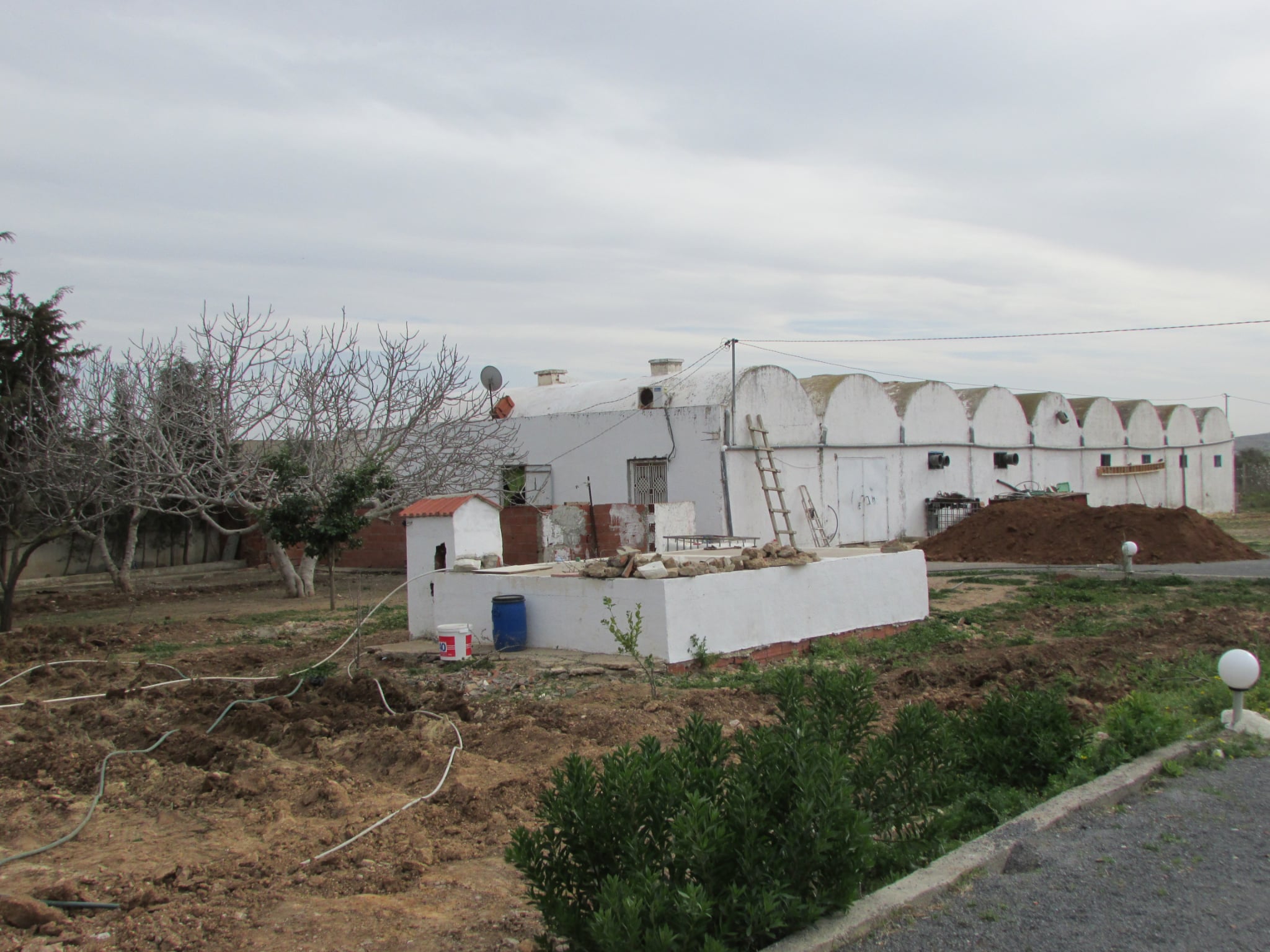Bir Mcherga Bir Mcherga Terrain Terrain agricole Belle ferme 7 hectares   productive