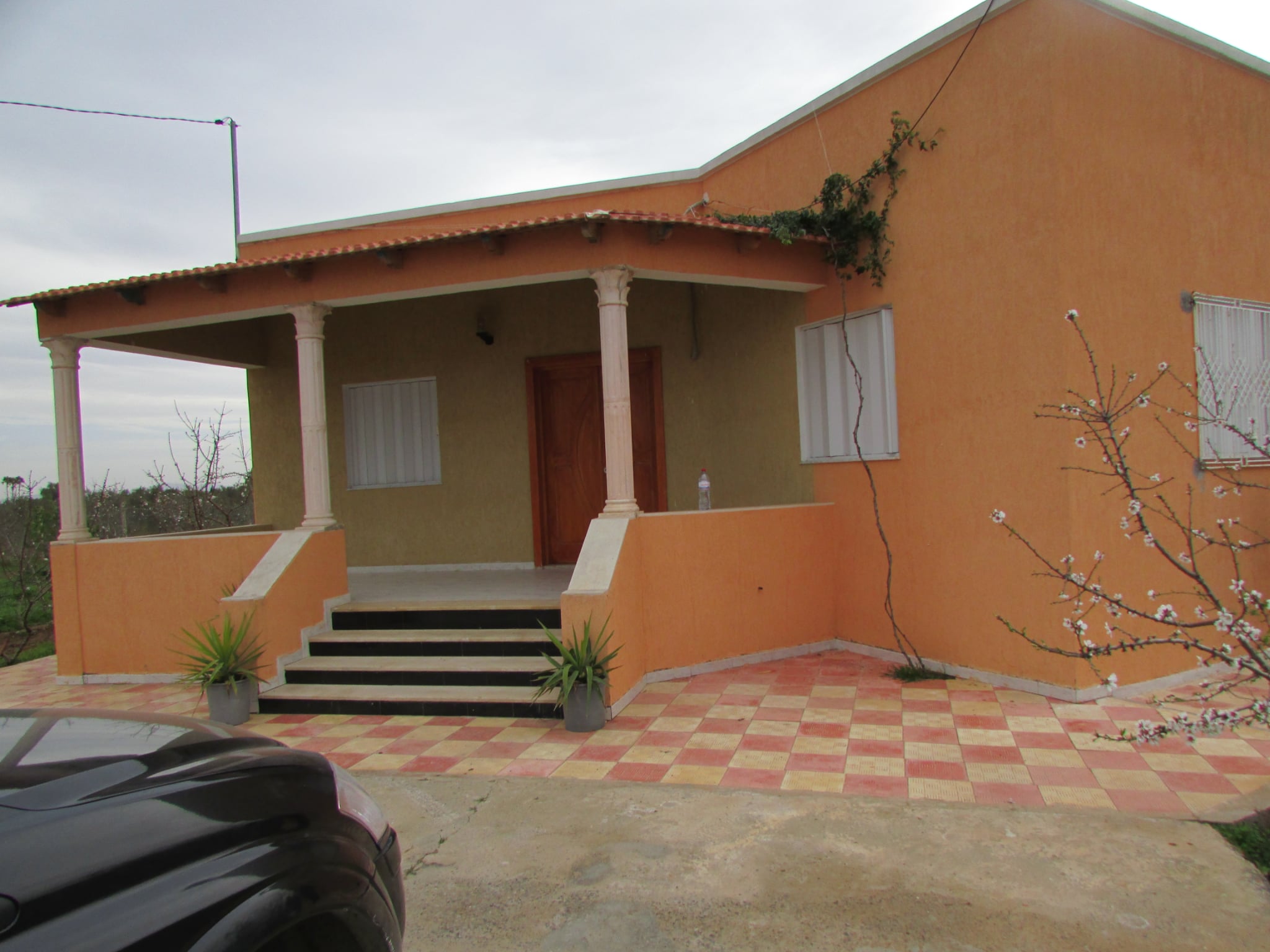 Bir Mcherga Bir Mcherga Terrain Terrain agricole Belle ferme 7 hectares   productive