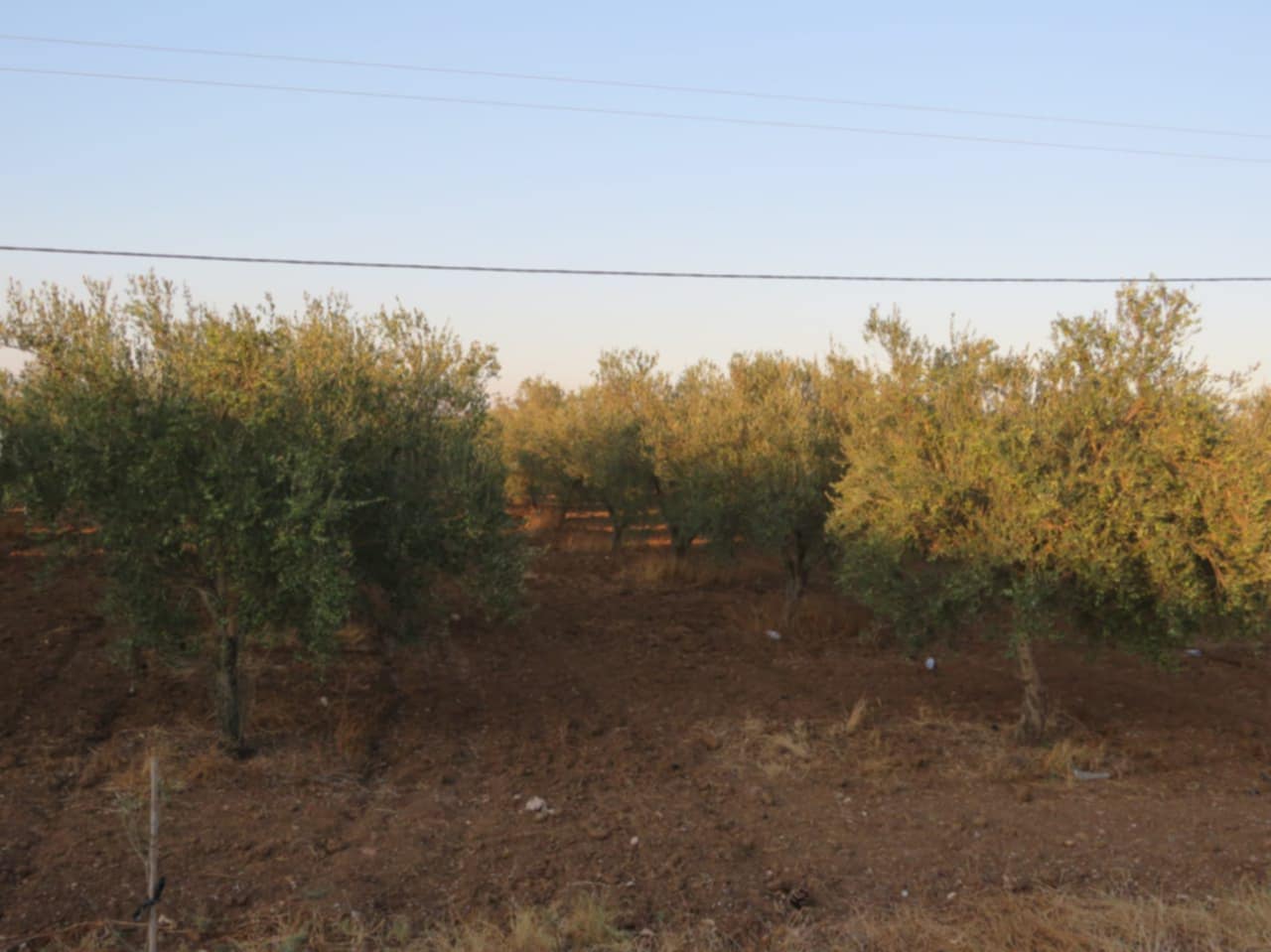 Terrain Terrain agricole