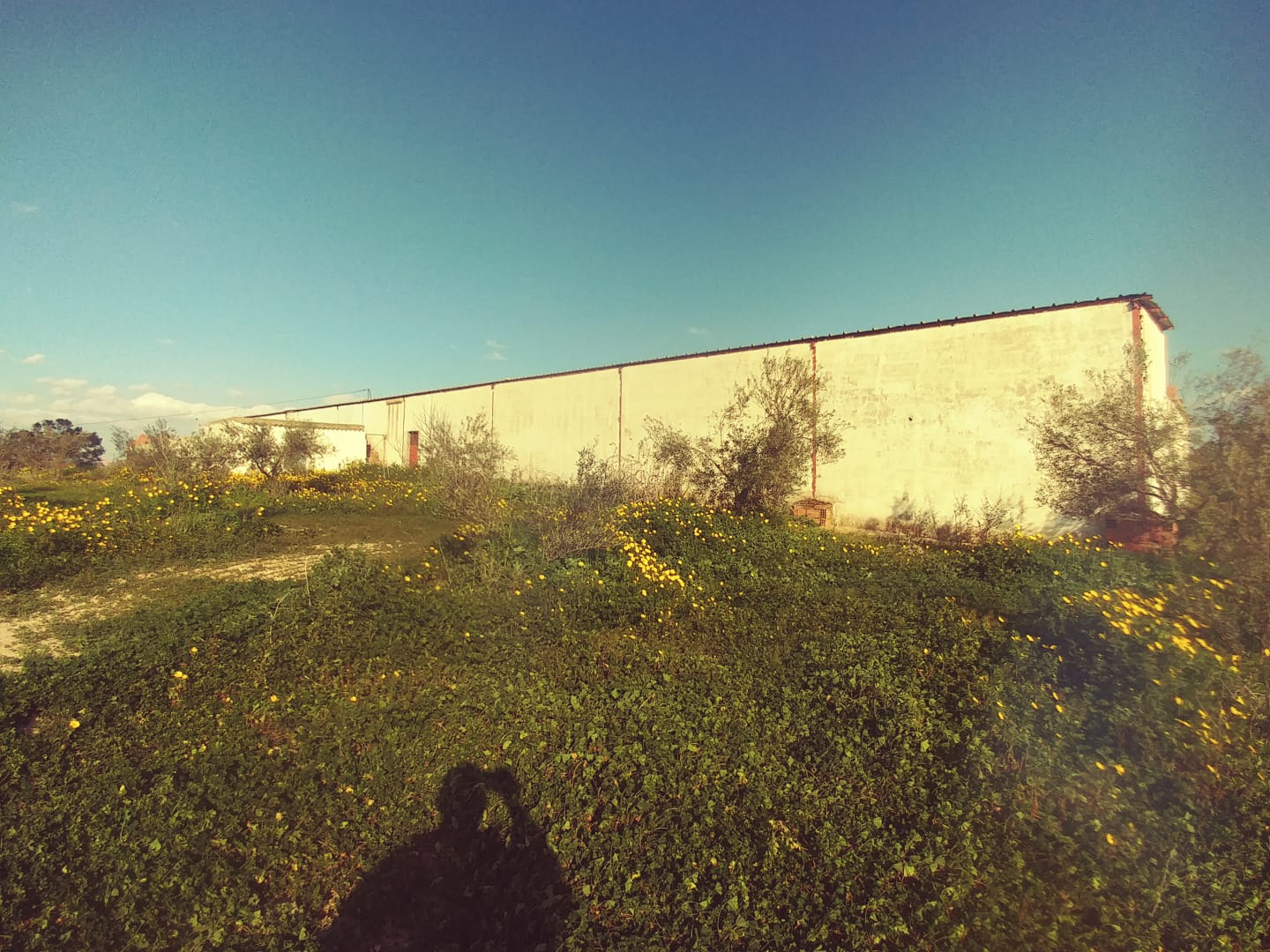 Terrain Terrain agricole