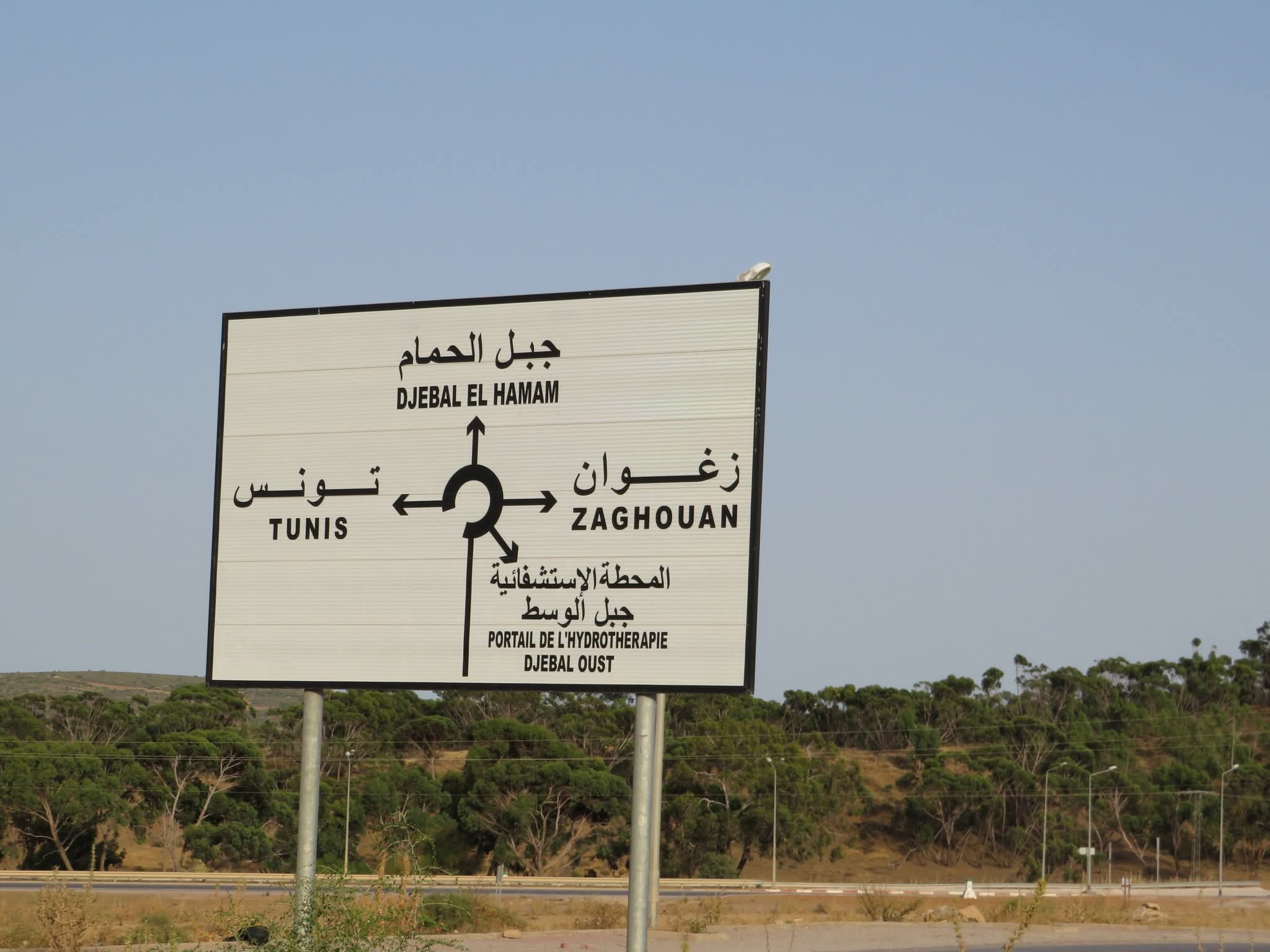 Bir Mcherga Jebel El Oust Terrain Terrain agricole Pour investissement touristique mdical etc