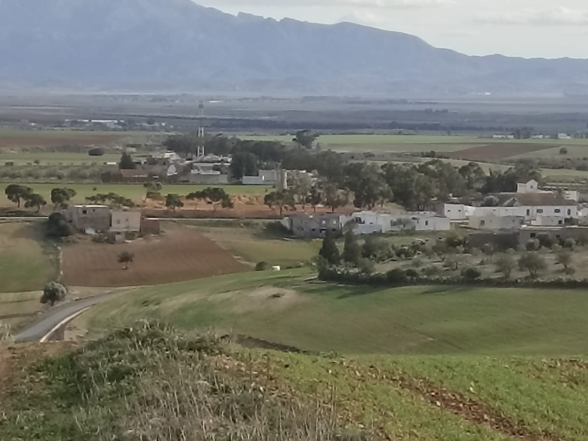 Bir Mcherga&nbsp;Bir Mcherga&nbsp;Terrain&nbsp;Terrain agricole&nbsp;11 hectares  2 hectares d'oliviers  9 hectares nu