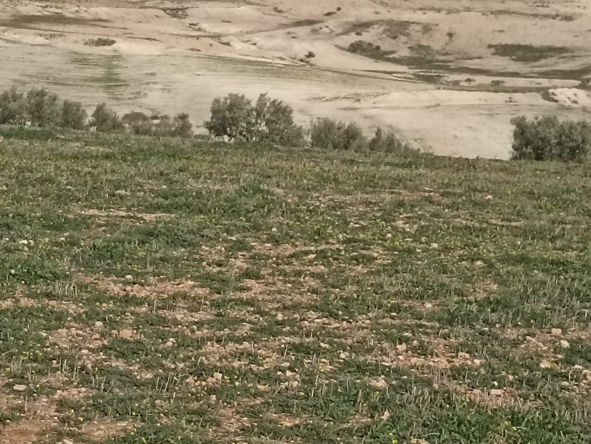 Terrain&nbsp;Terrain agricole