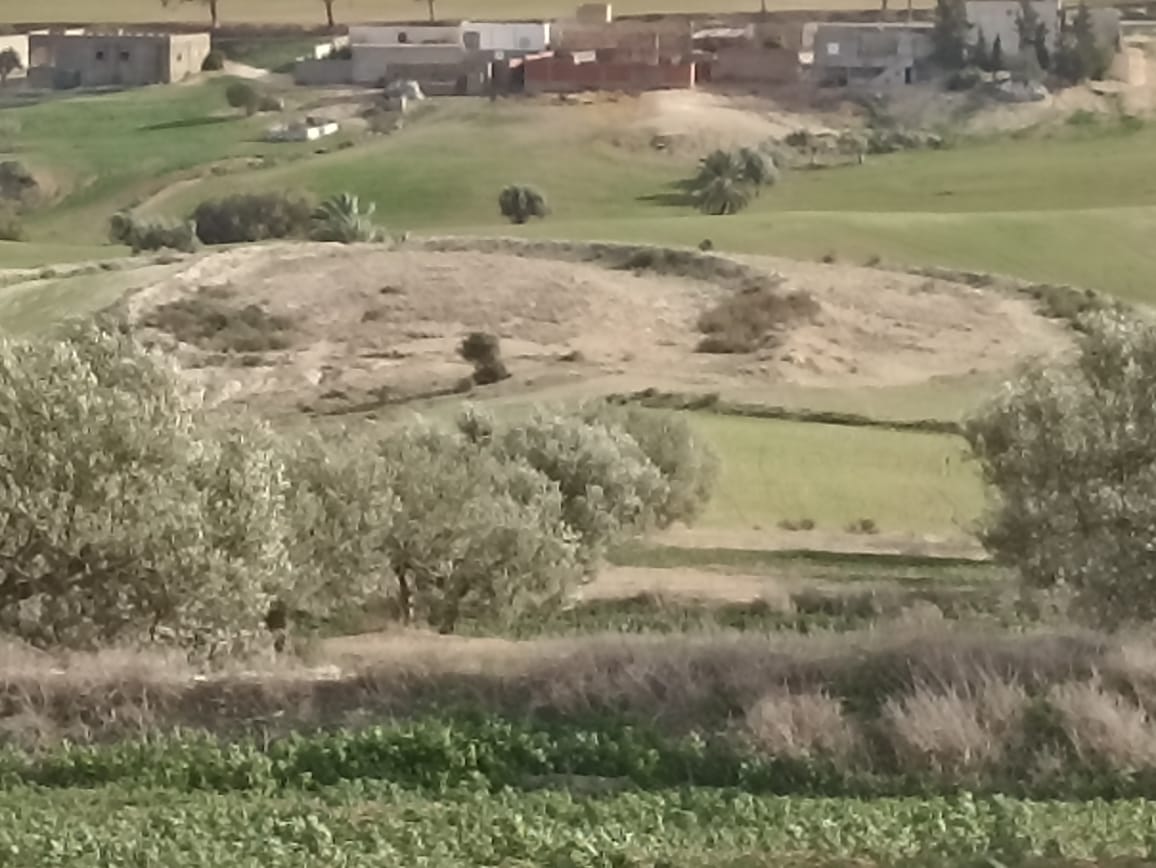 Bir Mcherga&nbsp;Bir Mcherga&nbsp;Terrain&nbsp;Terrain agricole&nbsp;22 hectares 4 hectares d'oliviers 18 hectares nu