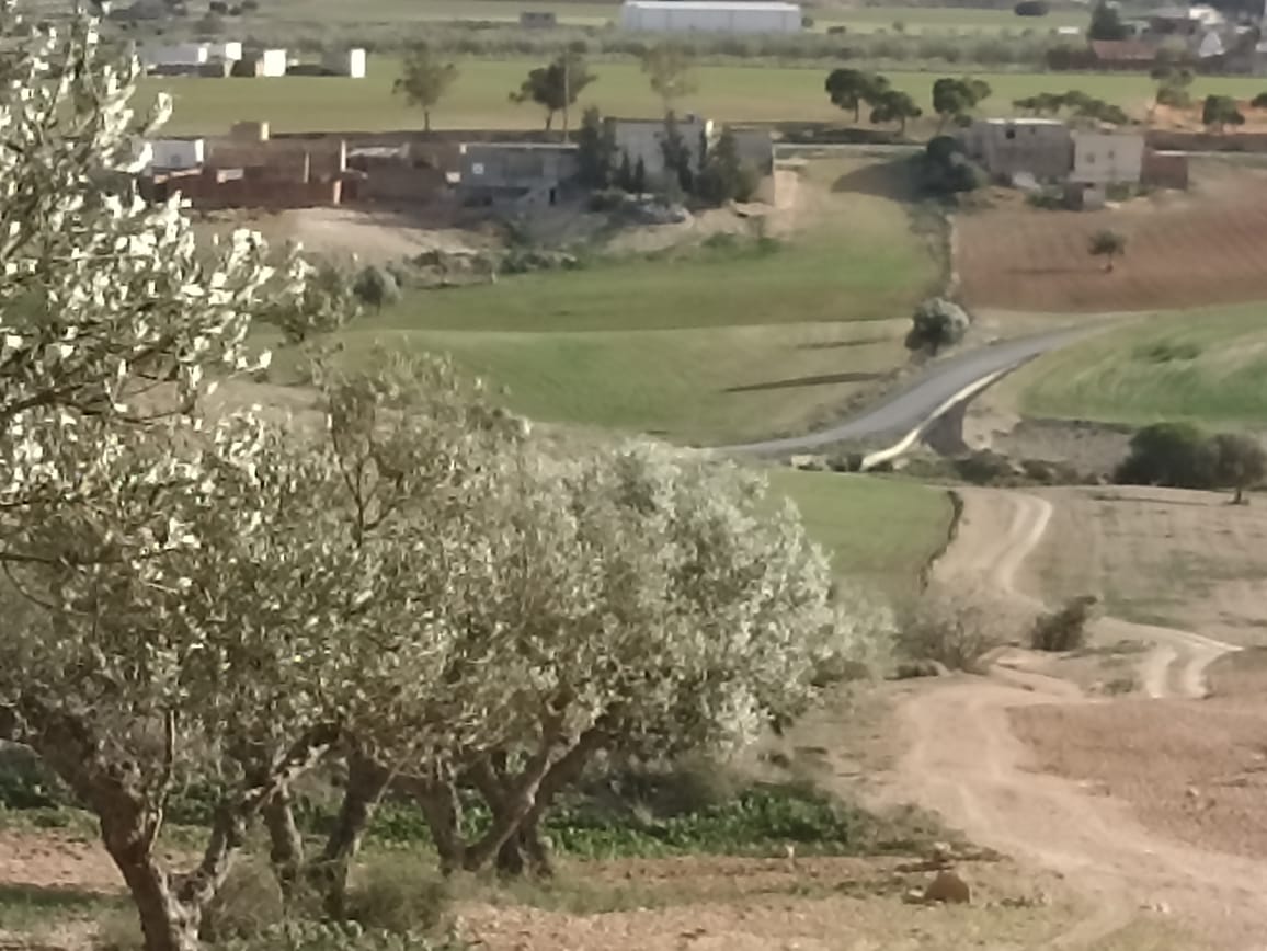 Bir Mcherga&nbsp;Bir Mcherga&nbsp;Terrain&nbsp;Terrain agricole&nbsp;22 hectares 4 hectares d'oliviers 18 hectares nu