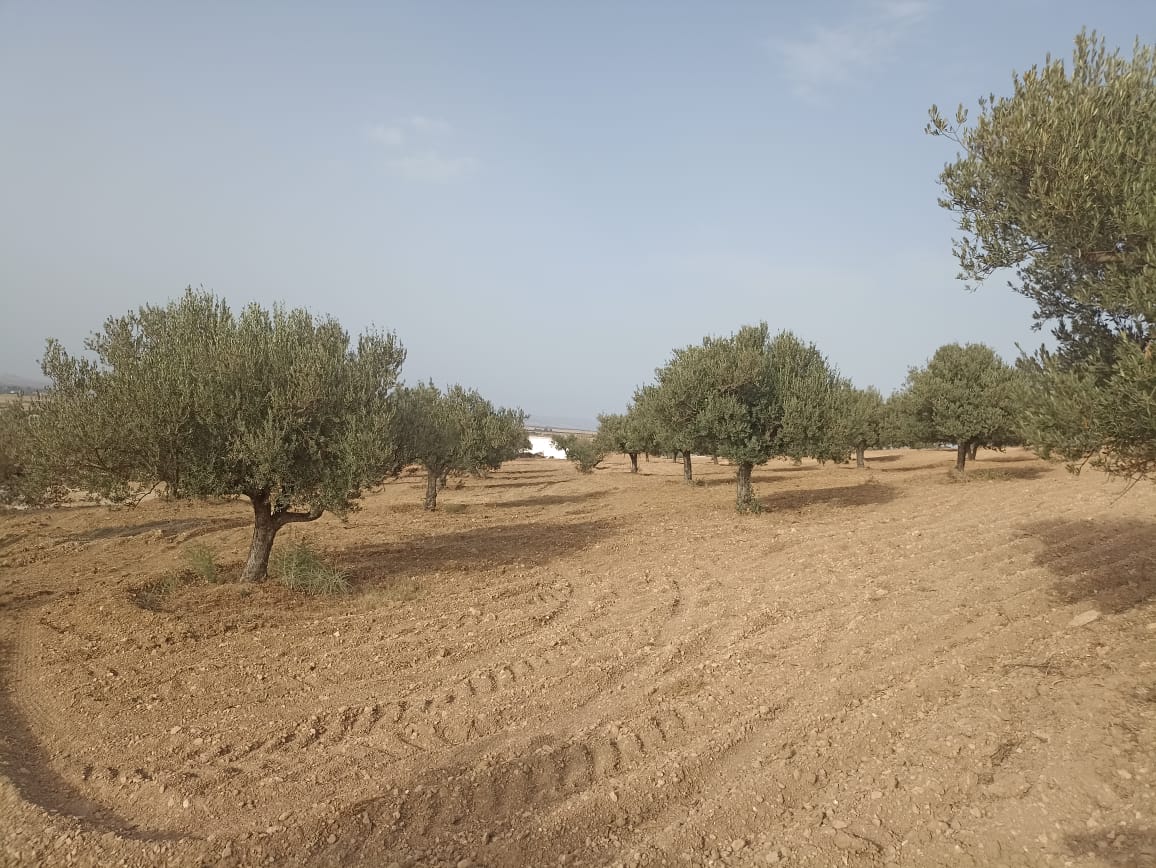 Terrain Terrain agricole