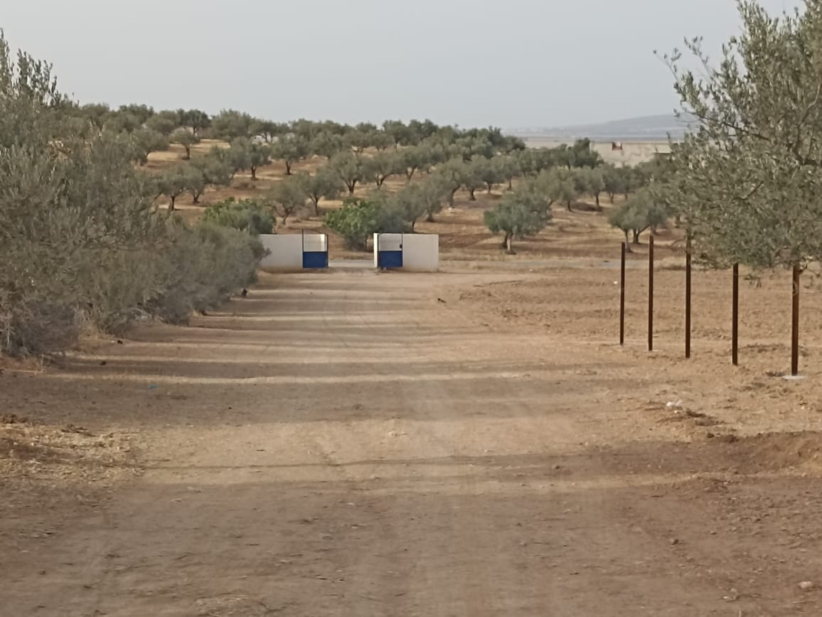 Bir Mcherga Sminja Terrain Terrain agricole 2 hectares 200 oliviers