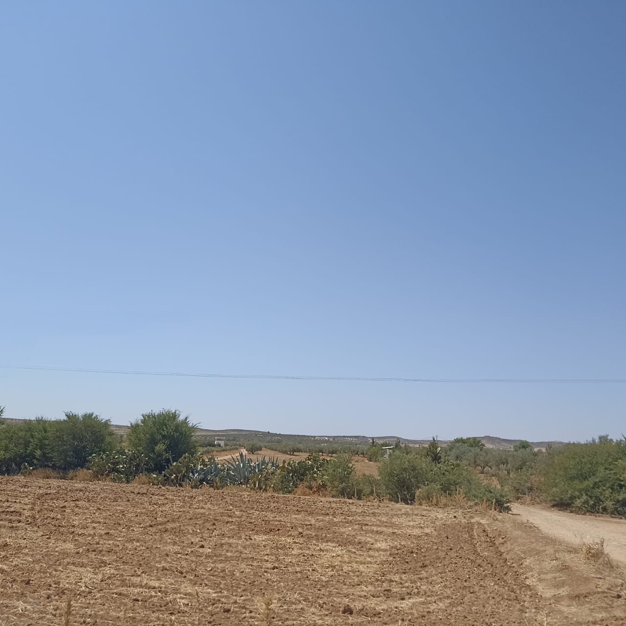 El Fahs El Amaiem Terrain Terrain agricole Ferme 4 hectares elfahs