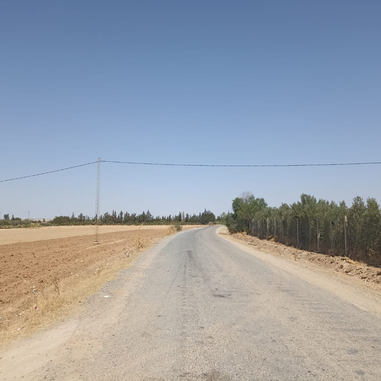 Terrain Terrain agricole