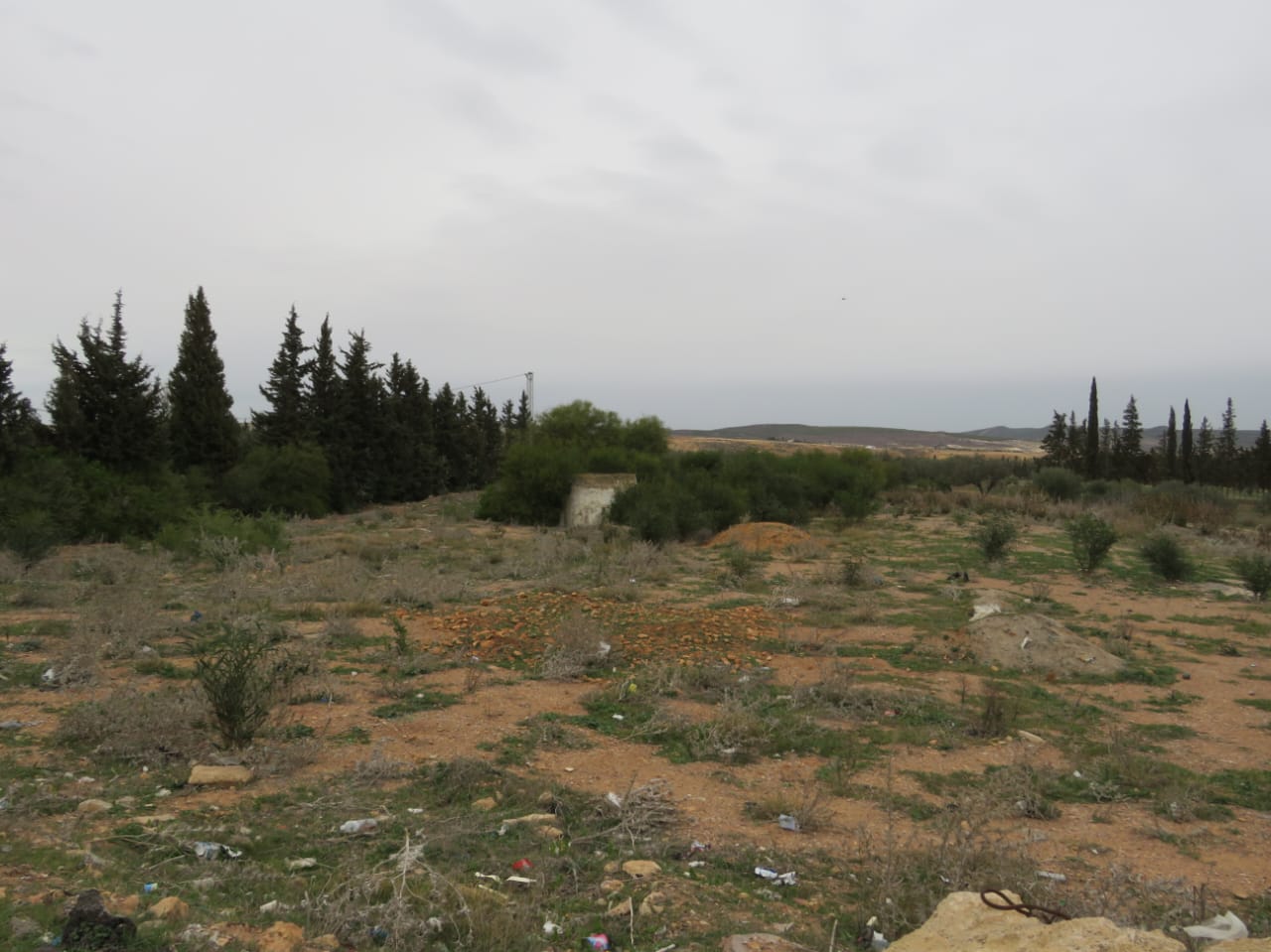 Zaghouan Zaghouan Terrain Terrain nu Magnifique 6936 m2 zaghouan