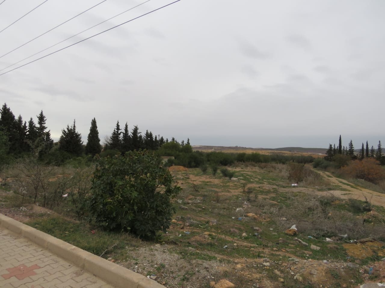 Zaghouan Zaghouan Terrain Terrain nu Magnifique 6936 m2 zaghouan