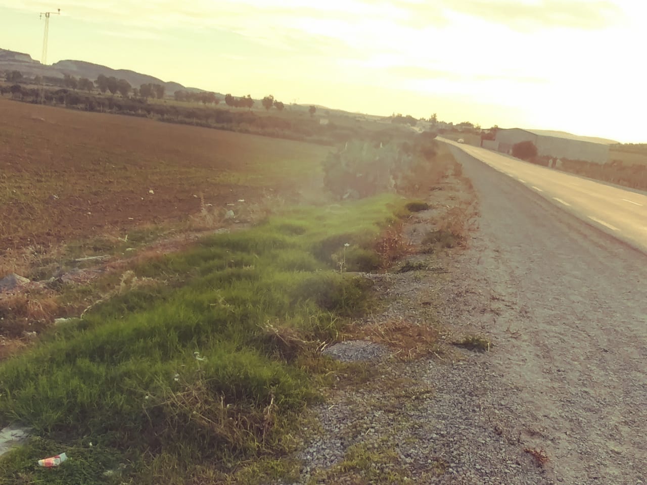 Bir Mcherga&nbsp;Ain El Asker&nbsp;Terrain&nbsp;Terrain agricole&nbsp;3 hectares 7000m2 nu a ain el asker