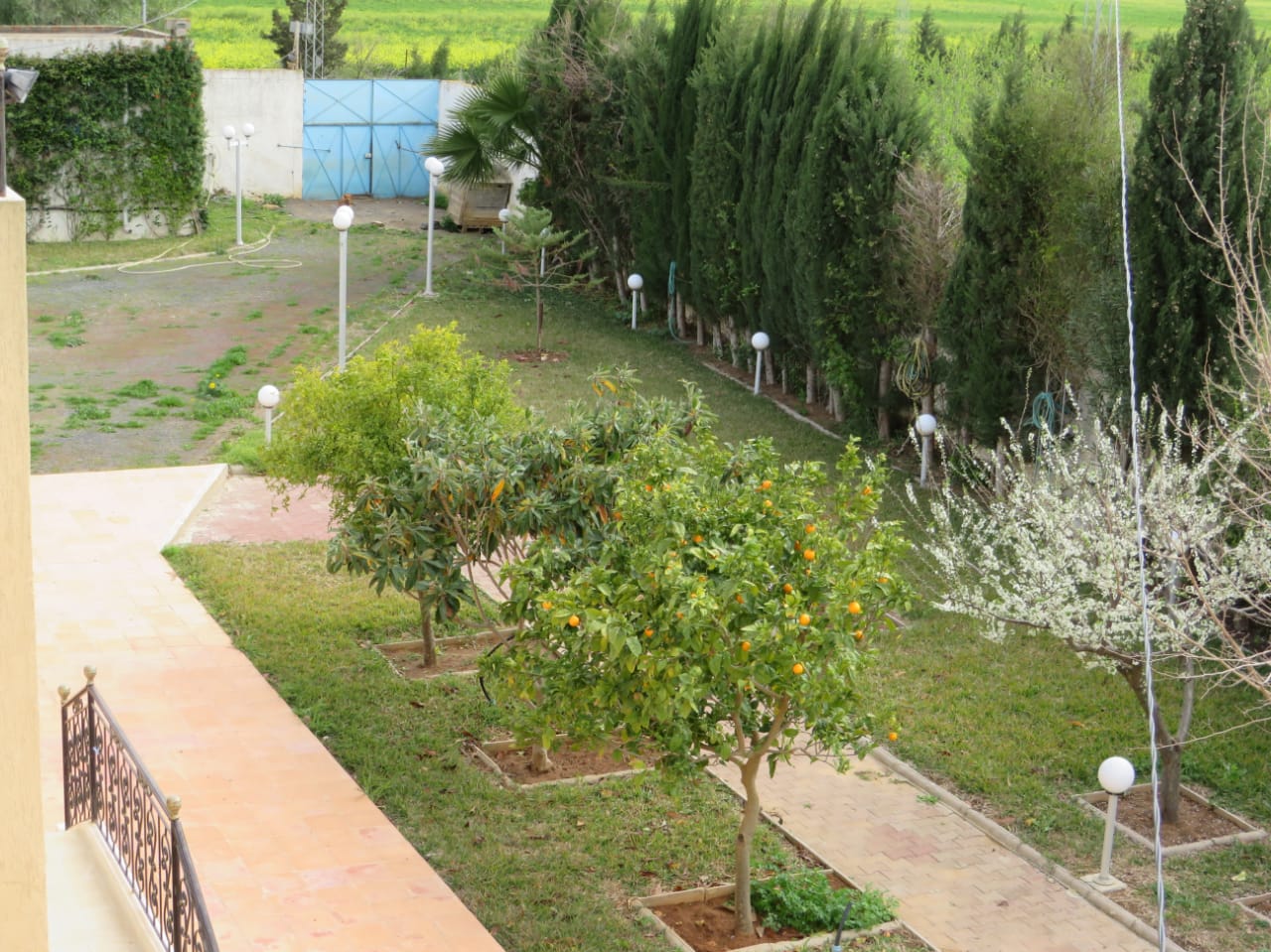 Bir Mcherga&nbsp;Boucha&nbsp;Terrain&nbsp;Terrain agricole&nbsp;Belle ferme 7 hectares villa haute standing