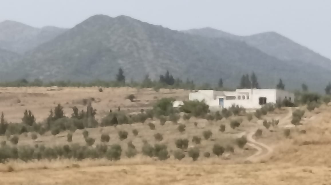 El Fahs Bent Saidane Terrain Terrain agricole Ferme 5 hectares 700 oliviers