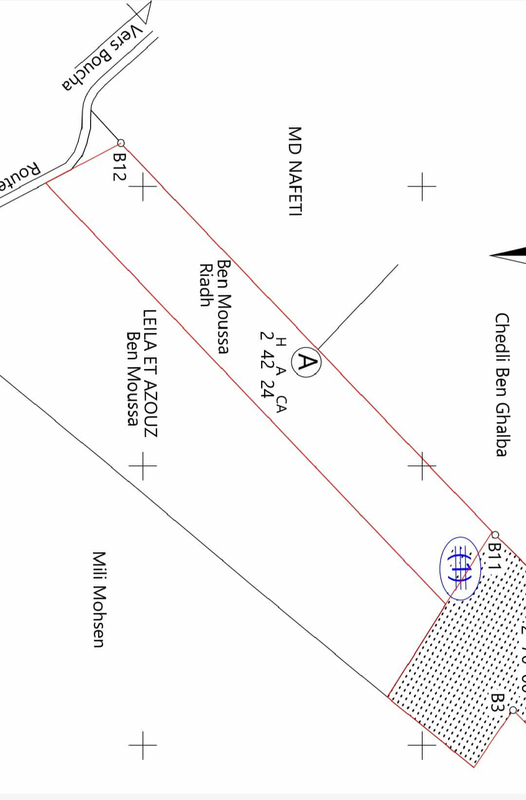 Bir Mcherga Bir Mcherga Terrain Terrain agricole 2 hectares sur la route goudronne  48km de tunis