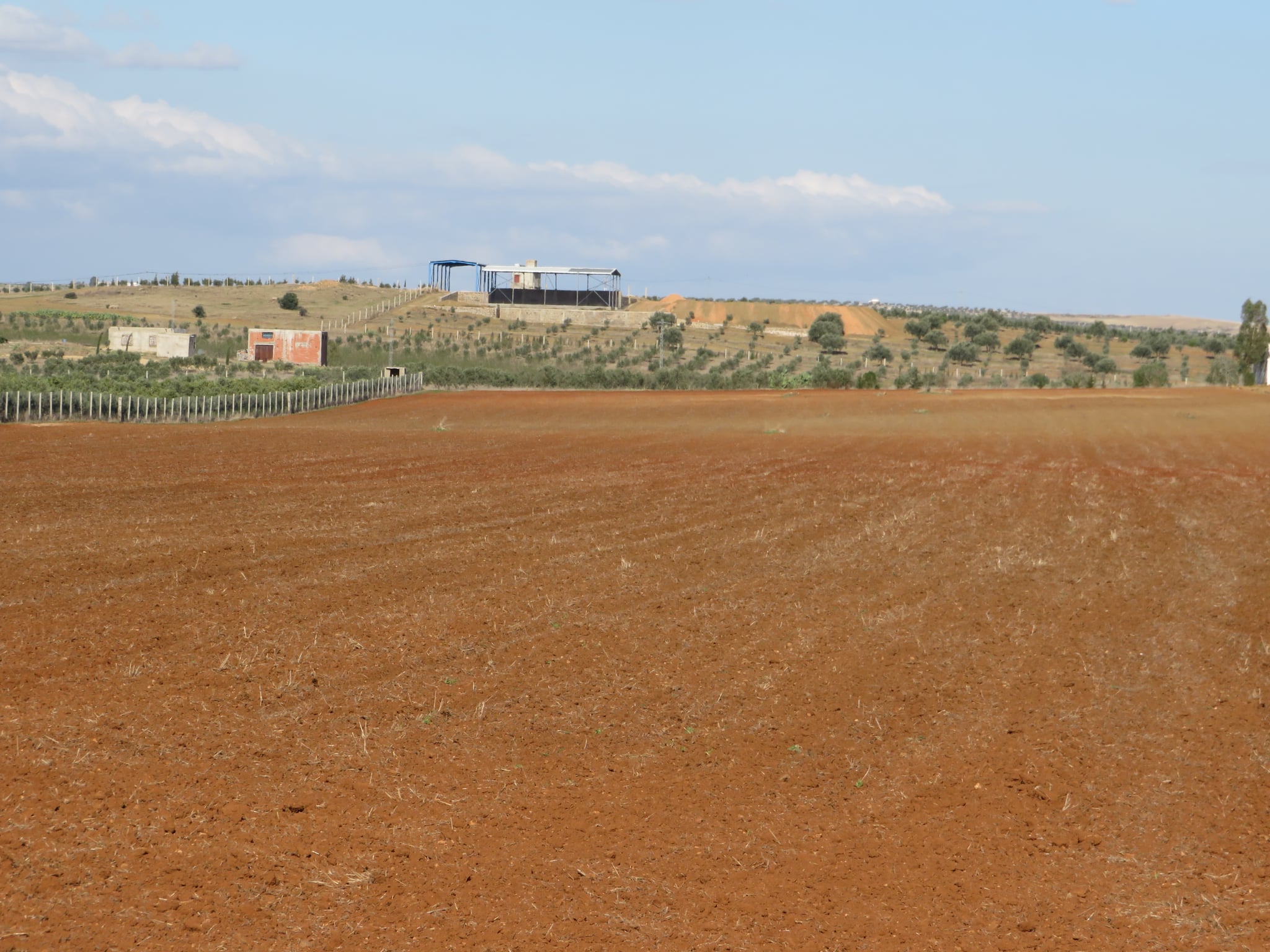 Terrain Terrain agricole