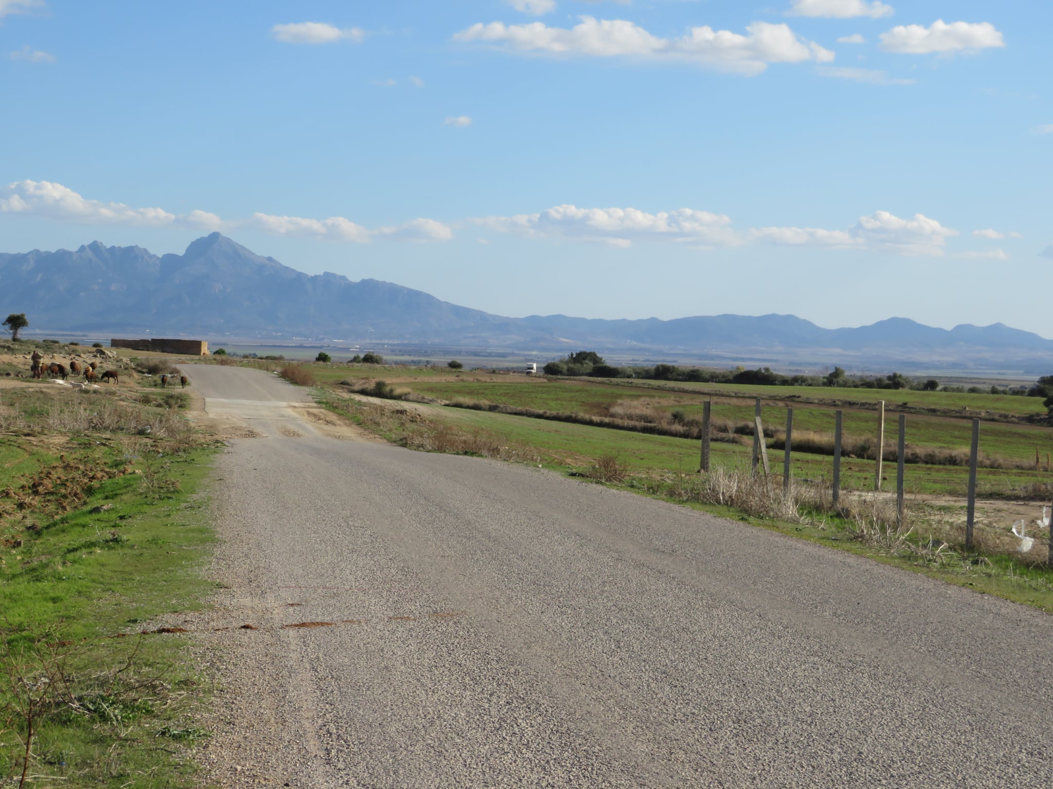 Bir Mcherga Bir Mcherga Terrain Terrain agricole 2 hectares sur la route goudronne  48km de tunis