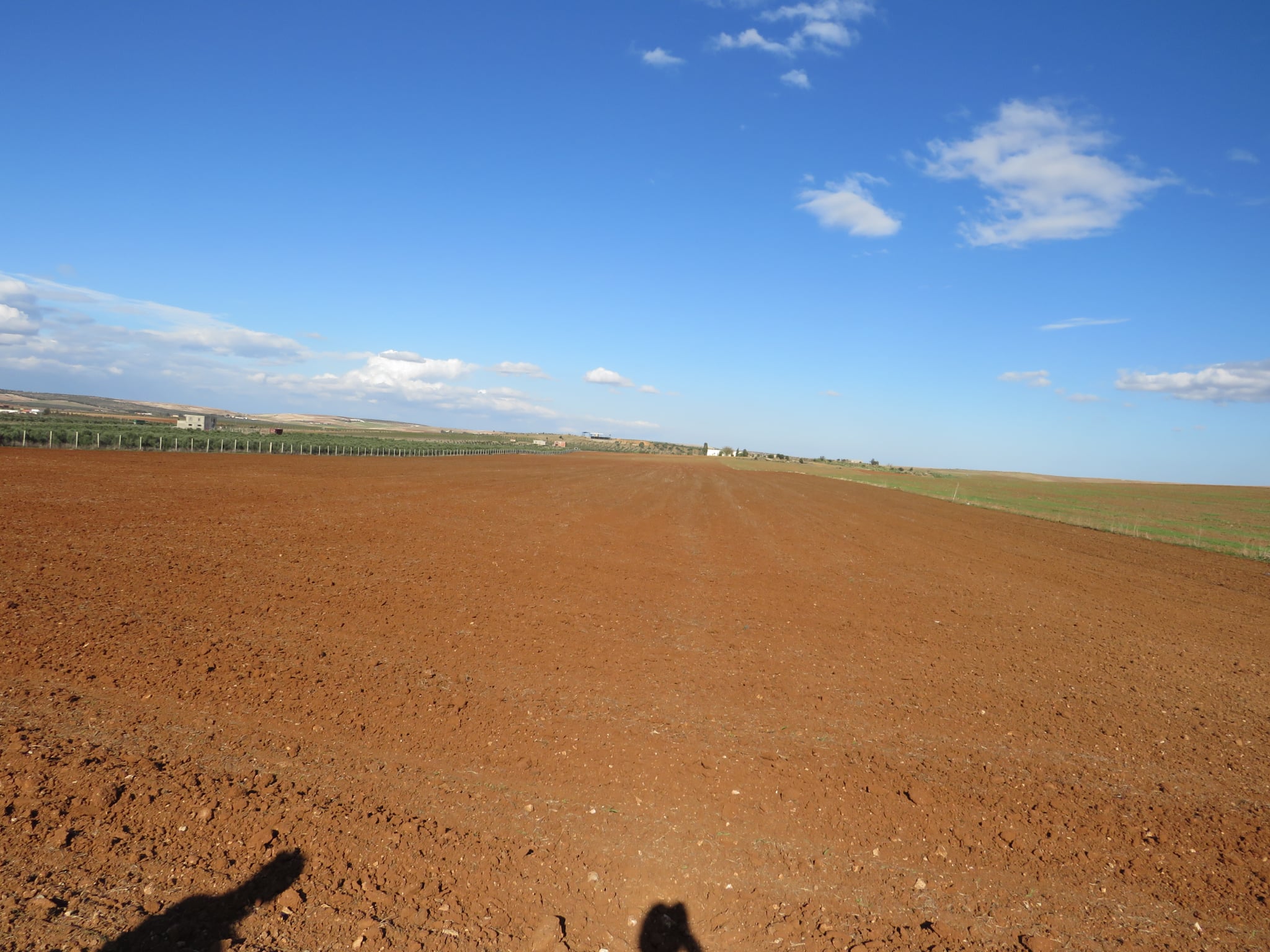 Bir Mcherga Bir Mcherga Terrain Terrain agricole 2 hectares sur la route goudronne  48km de tunis