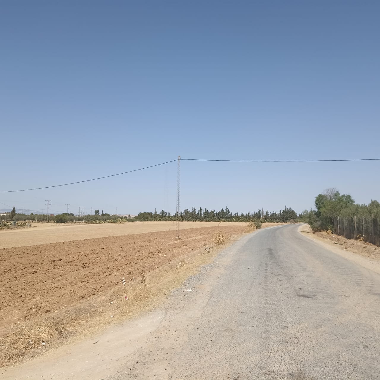 El Fahs El Amaiem Terrain Terrain agricole Ferme 65 km de tunis