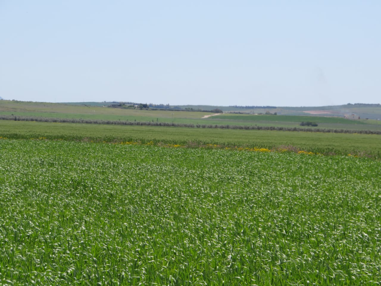 Bir Mcherga Boucha Terrain Terrain agricole Excellente 22 hectares plat