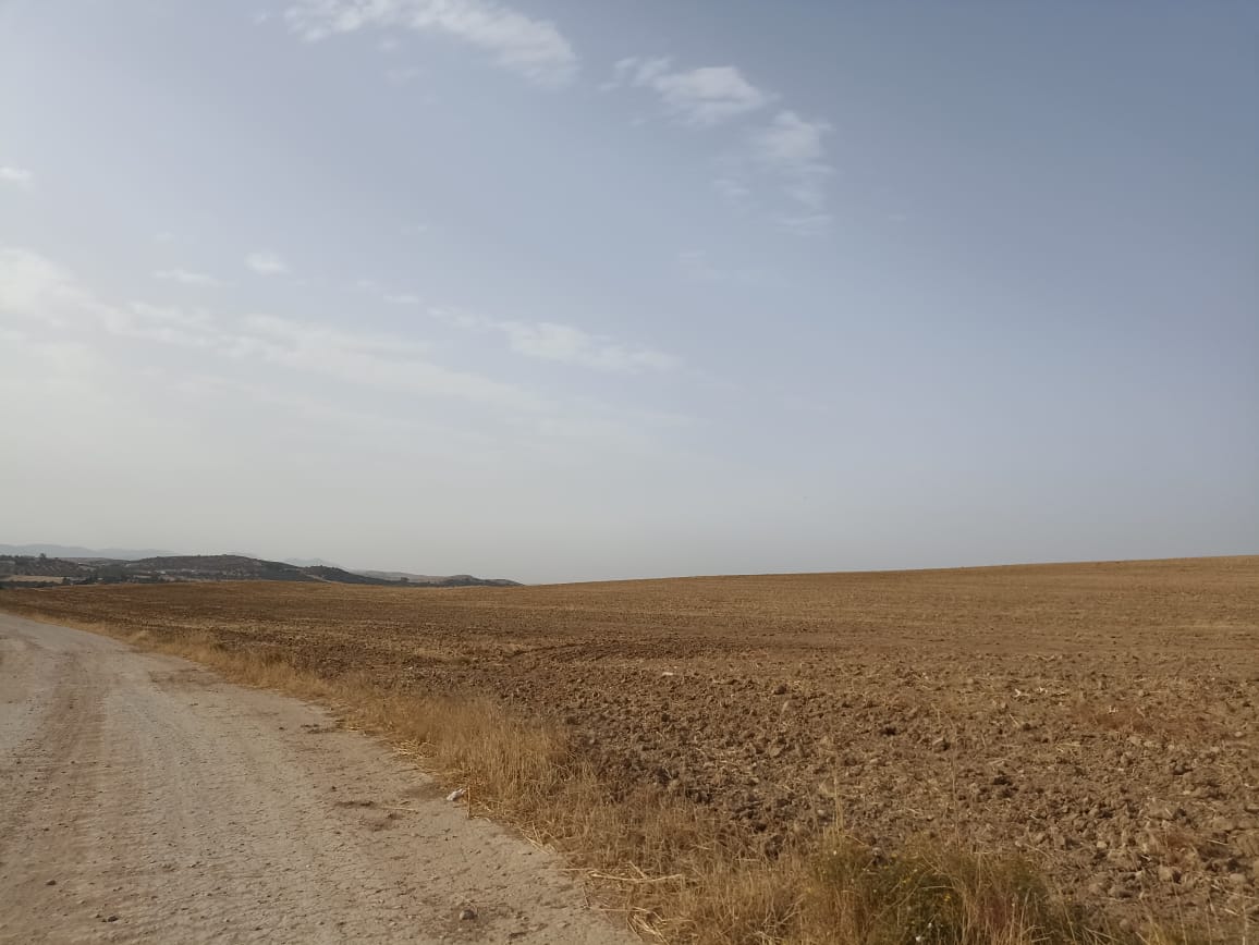 El Fahs El Fahs Terrain Terrain agricole 67 hectare sur la route nationale gp3