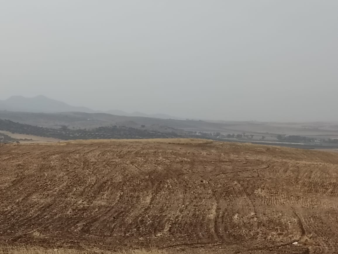 El Fahs El Fahs Terrain Terrain agricole 67 hectare sur la route nationale gp3