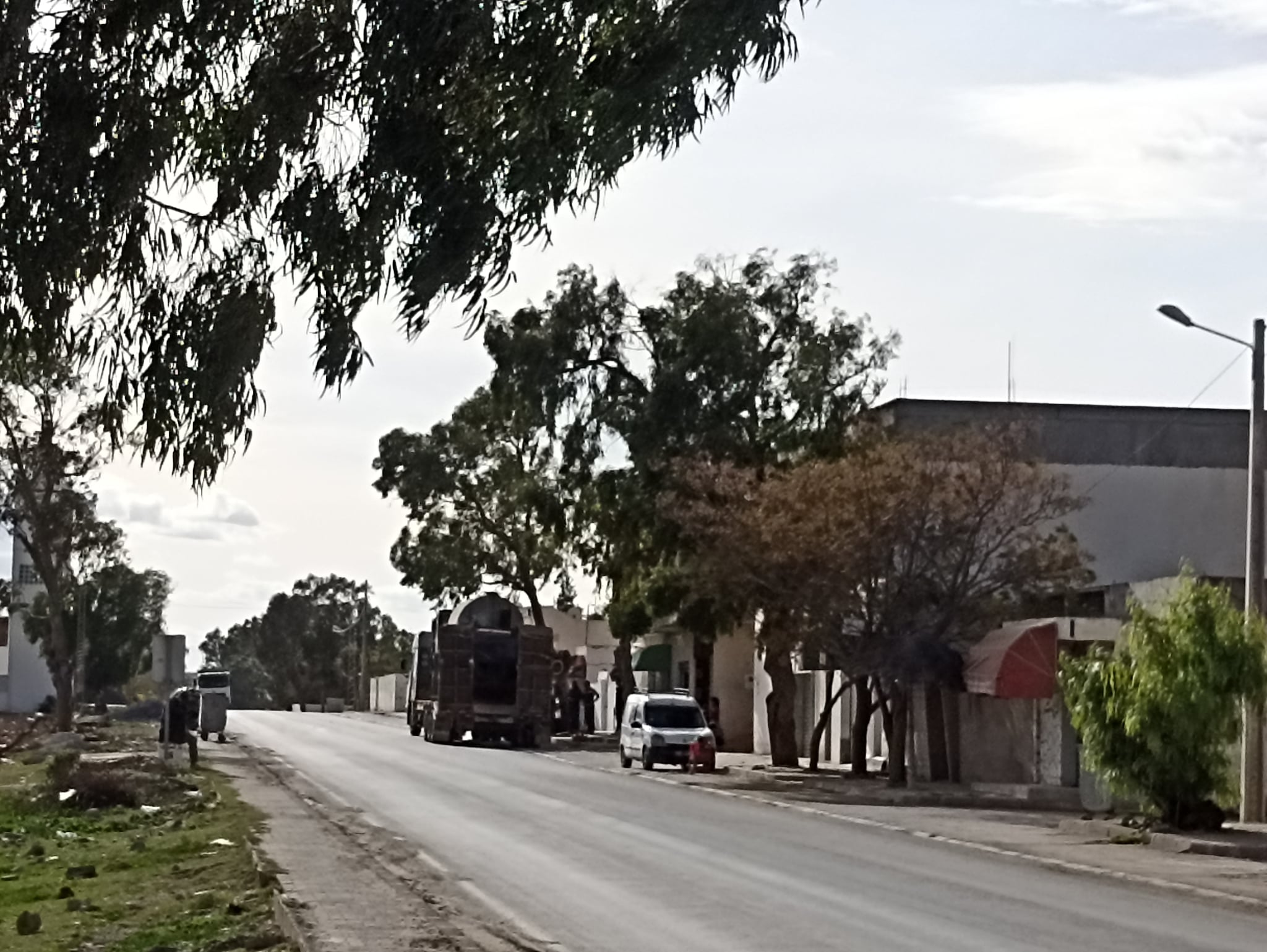 Bir Mcherga Ain El Asker Terrain Terrain agricole 14 hectares a 33 km de tunis