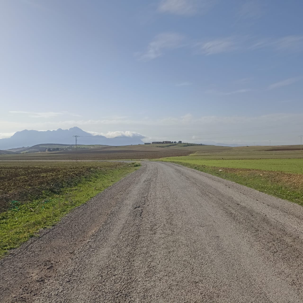 Bir Mcherga Bir Mcherga Terrain Terrain agricole 2 hectares 3000m2  32km de tunis