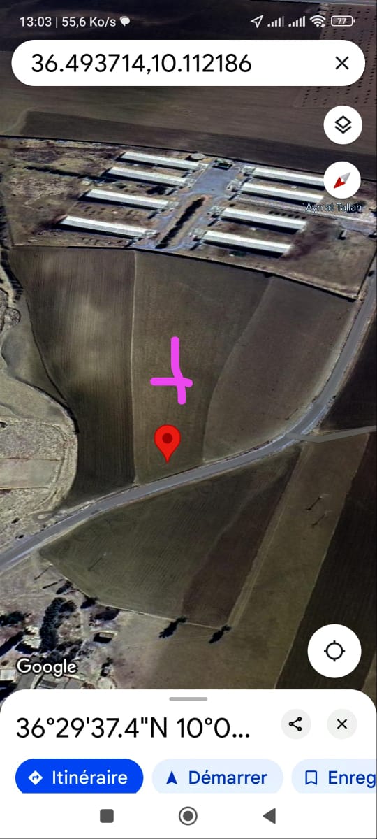 Bir Mcherga Bir Mcherga Terrain Terrain agricole 2 hectares 3000m2  32km de tunis