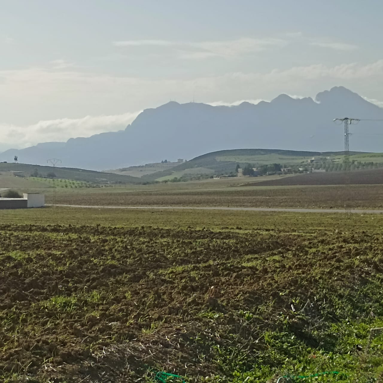 Bir Mcherga Bir Mcherga Terrain Terrain agricole 2 hectares 3000m2  32km de tunis