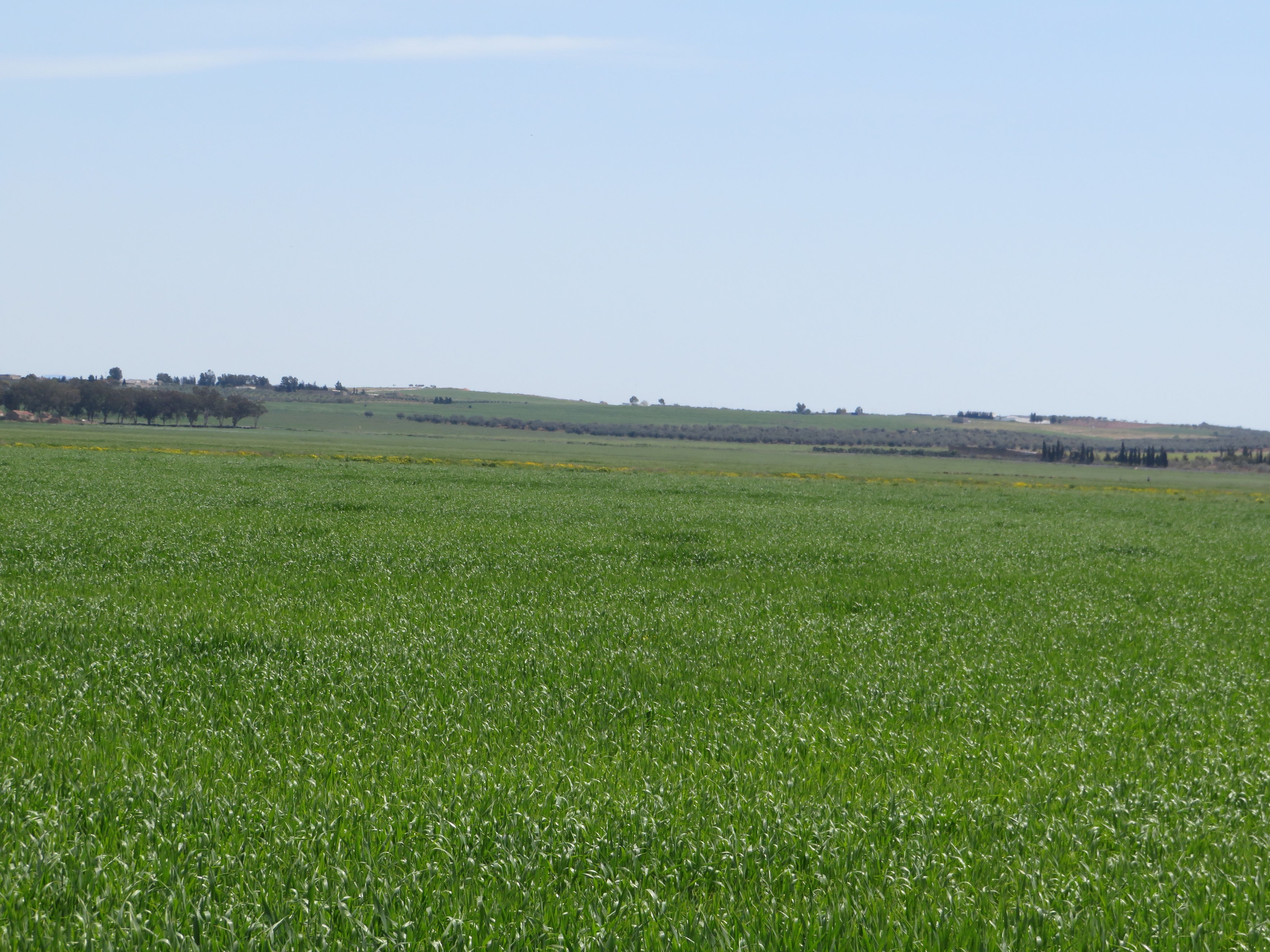 Terrain&nbsp;Terrain agricole