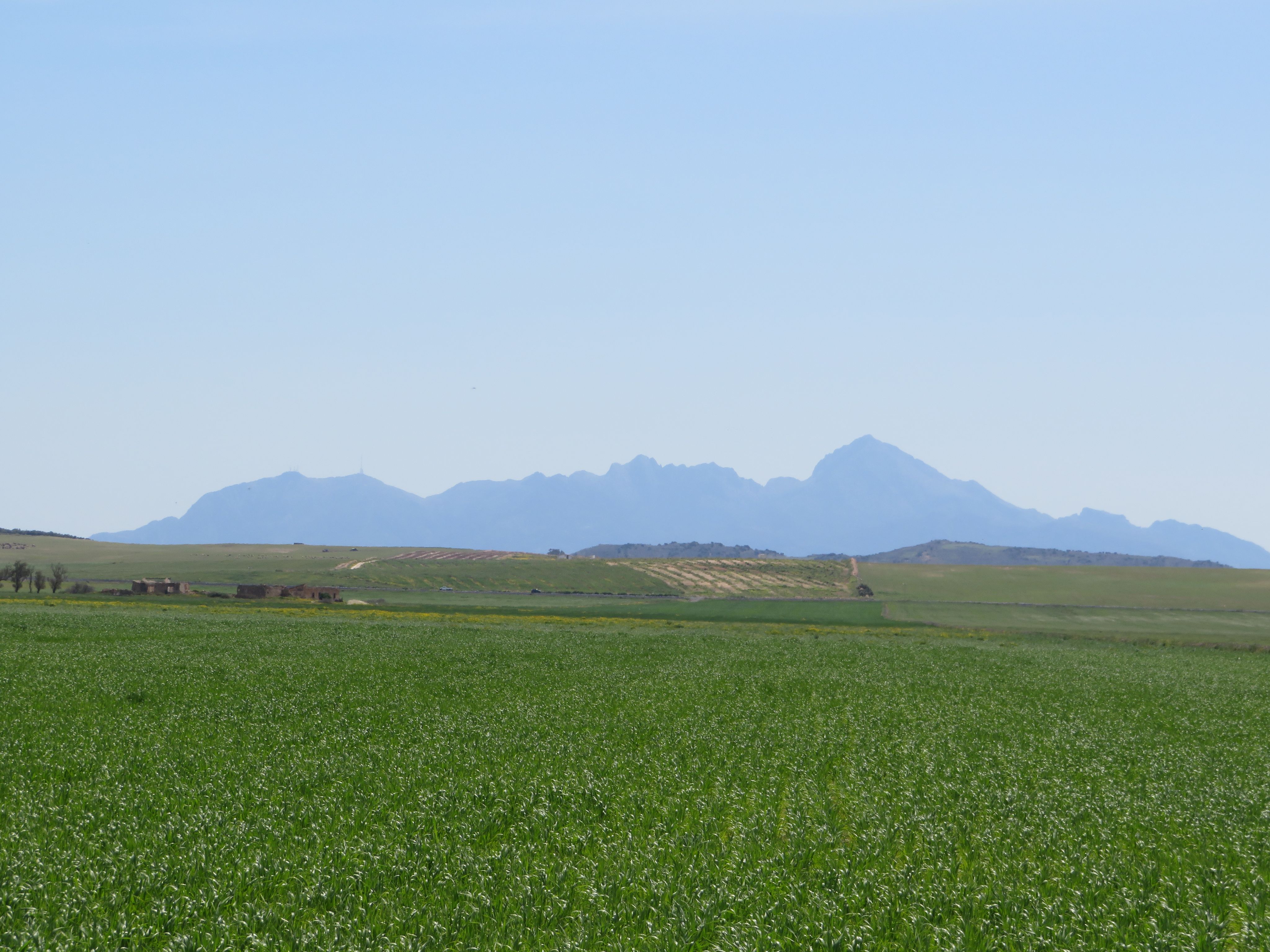 Bir Mcherga&nbsp;Boucha&nbsp;Terrain&nbsp;Terrain agricole&nbsp;22 hectare  terrain plat et fertile