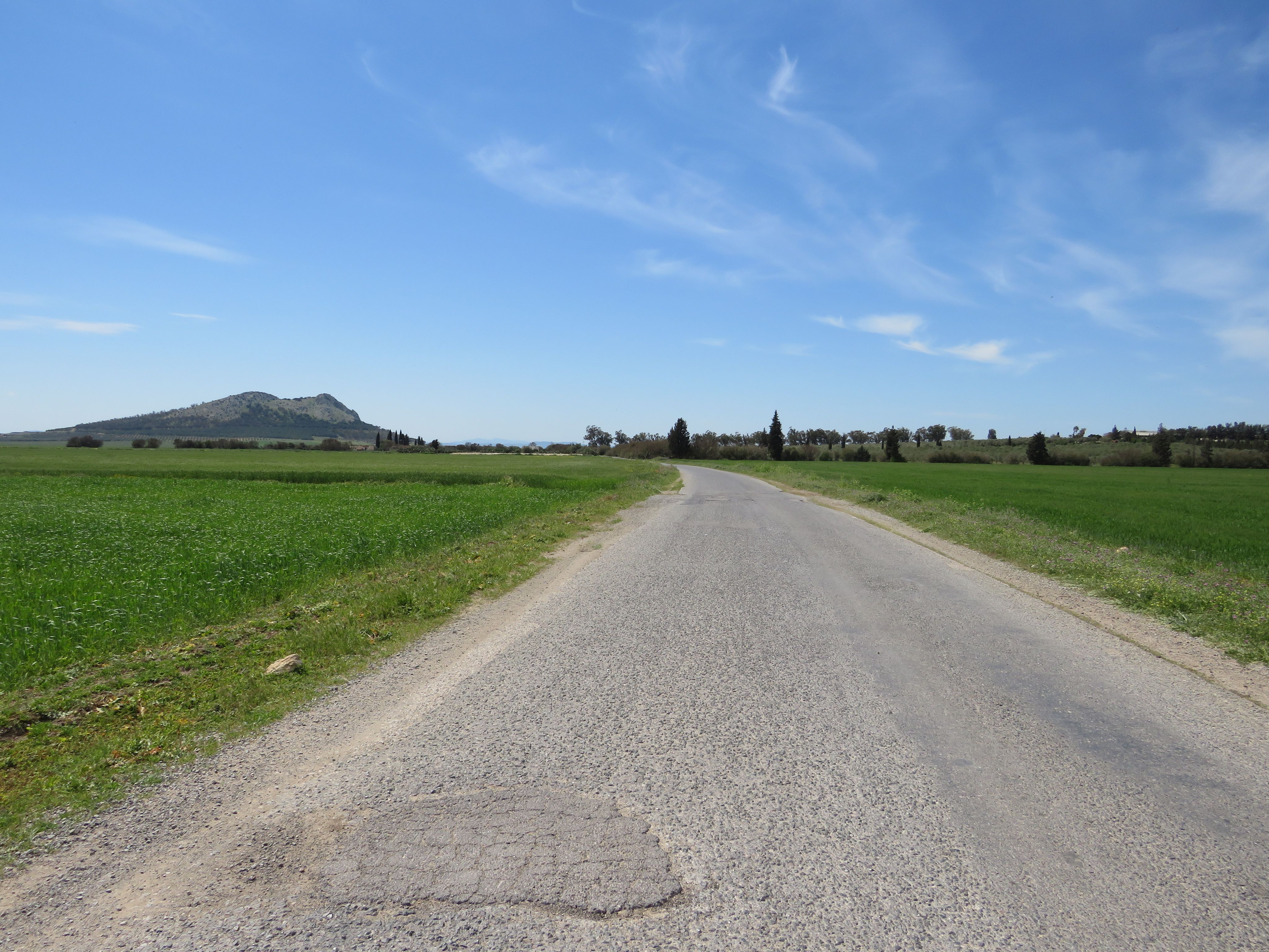 Bir Mcherga&nbsp;Boucha&nbsp;Terrain&nbsp;Terrain agricole&nbsp;22 hectare  terrain plat et fertile