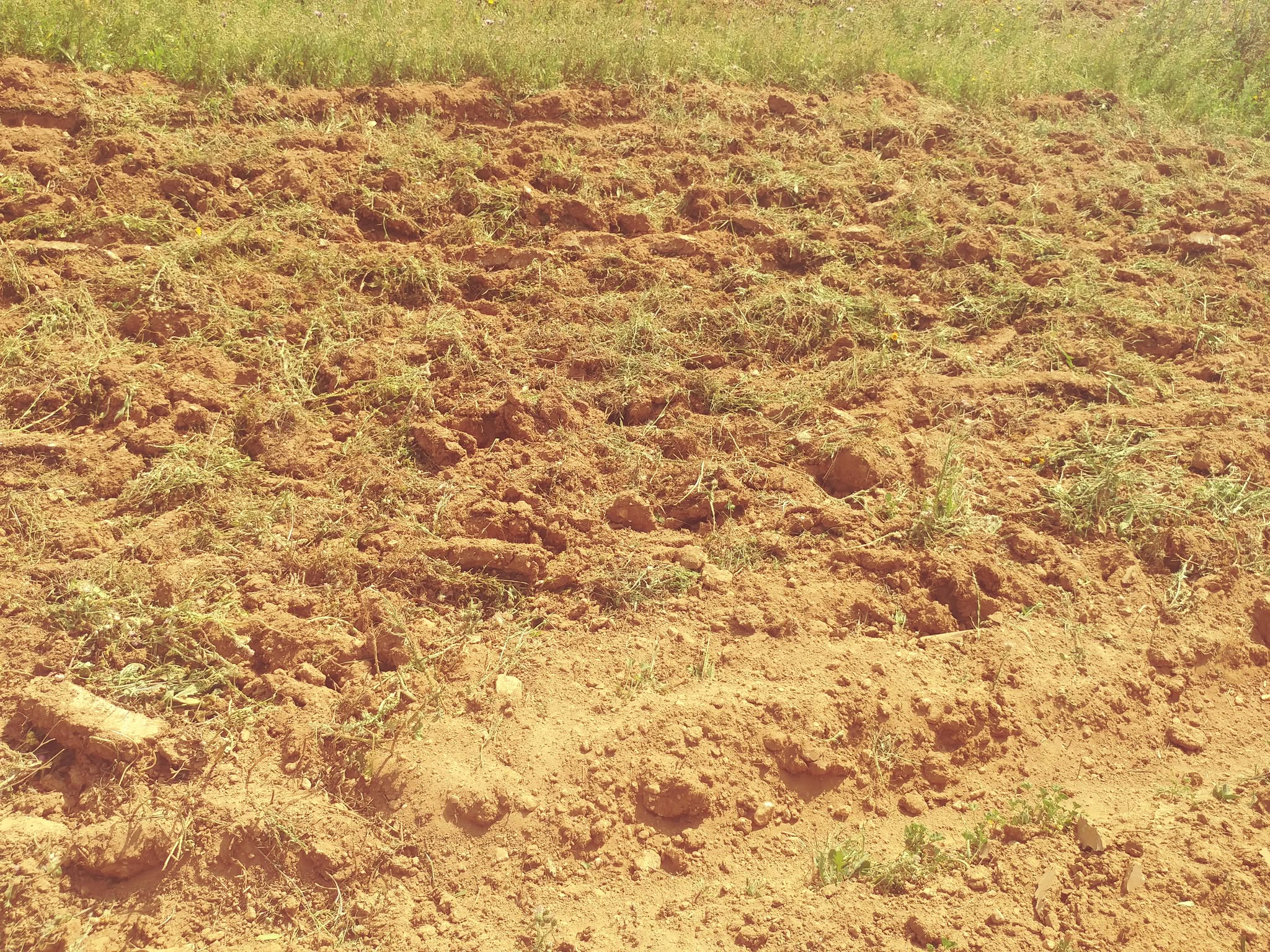 Bir Mcherga&nbsp;Bir Mcherga&nbsp;Terrain&nbsp;Terrain agricole&nbsp;2 hectares et 7 500 m2 nu mnagaa