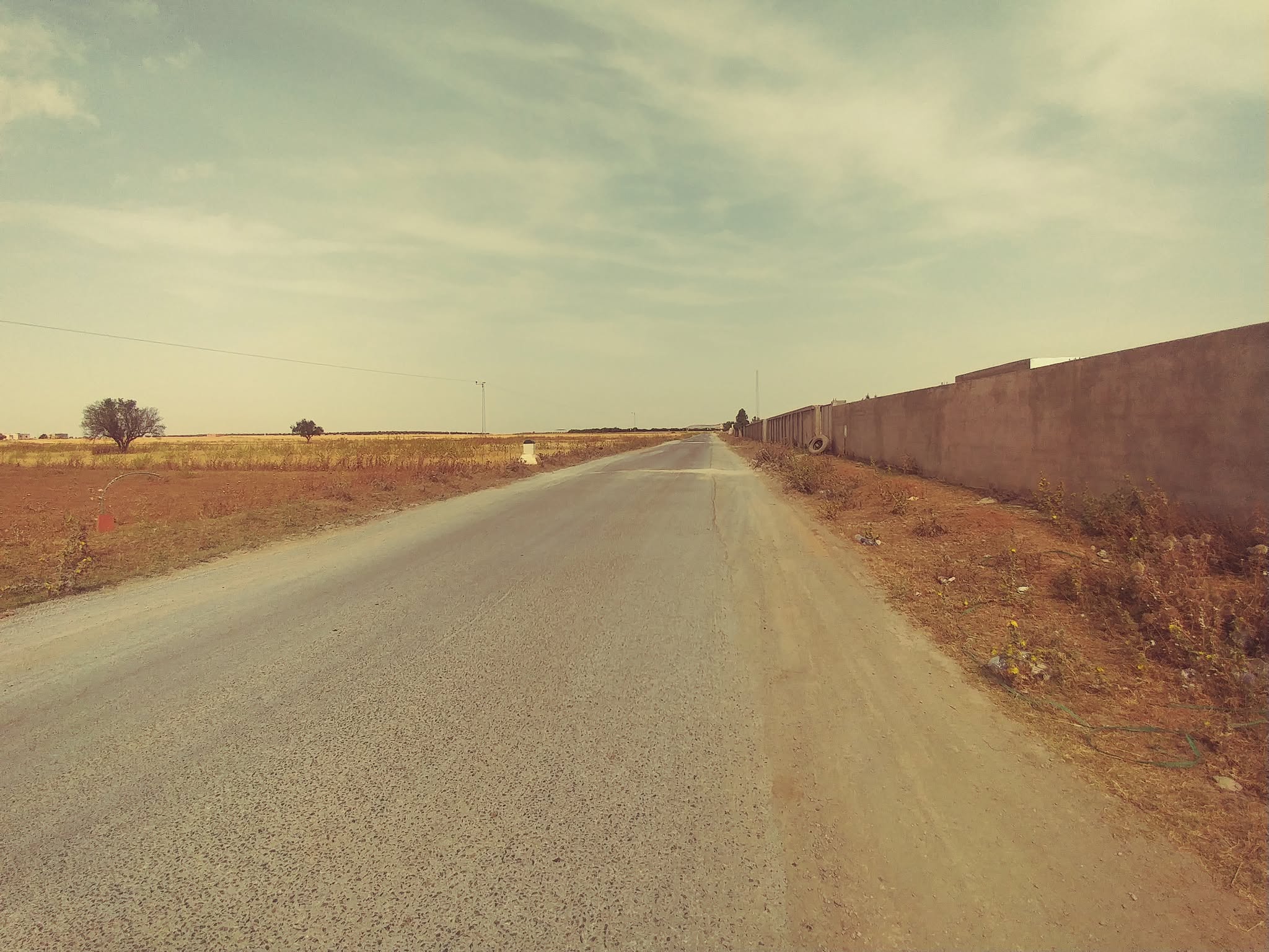 Bir Mcherga&nbsp;Bir Mcherga&nbsp;Terrain&nbsp;Terrain agricole&nbsp;2 hectares et 7 500 m2 nu mnagaa