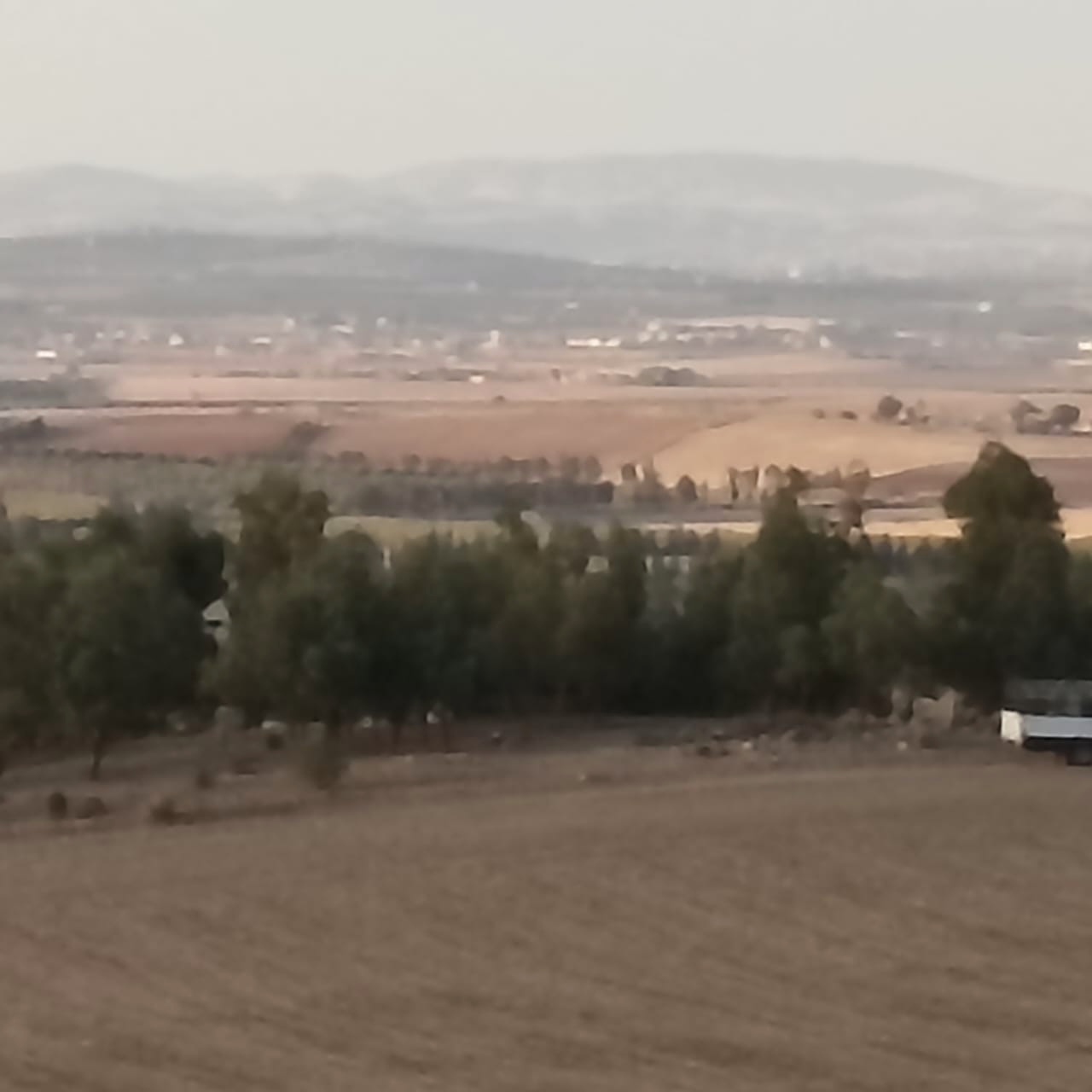 Bir Mcherga&nbsp;Bir Mcherga&nbsp;Terrain&nbsp;Terrain agricole&nbsp;A drijat 14 hectares 5000 m2