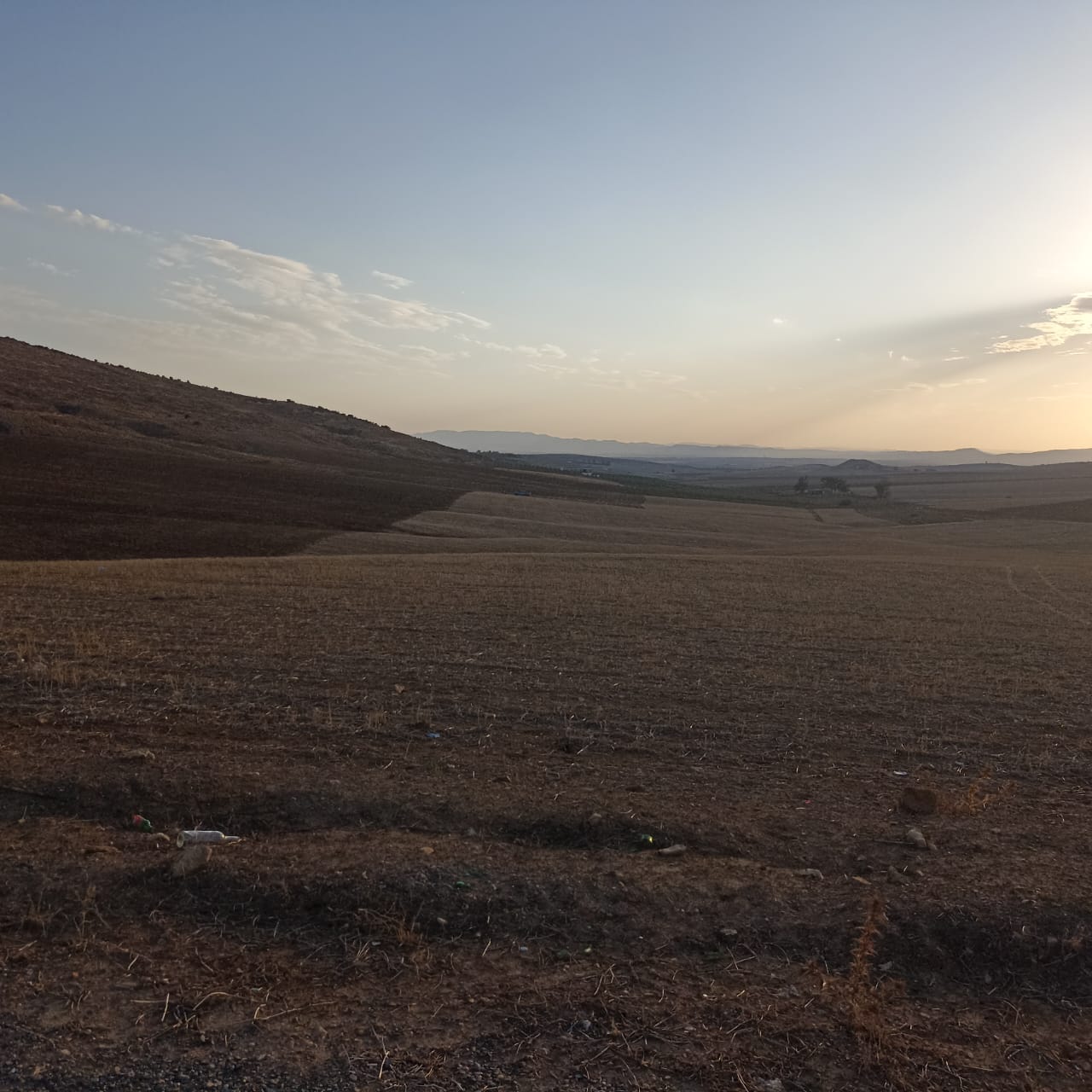 Bir Mcherga&nbsp;Bir Mcherga&nbsp;Terrain&nbsp;Terrain agricole&nbsp;A drijat 14 hectares 5000 m2