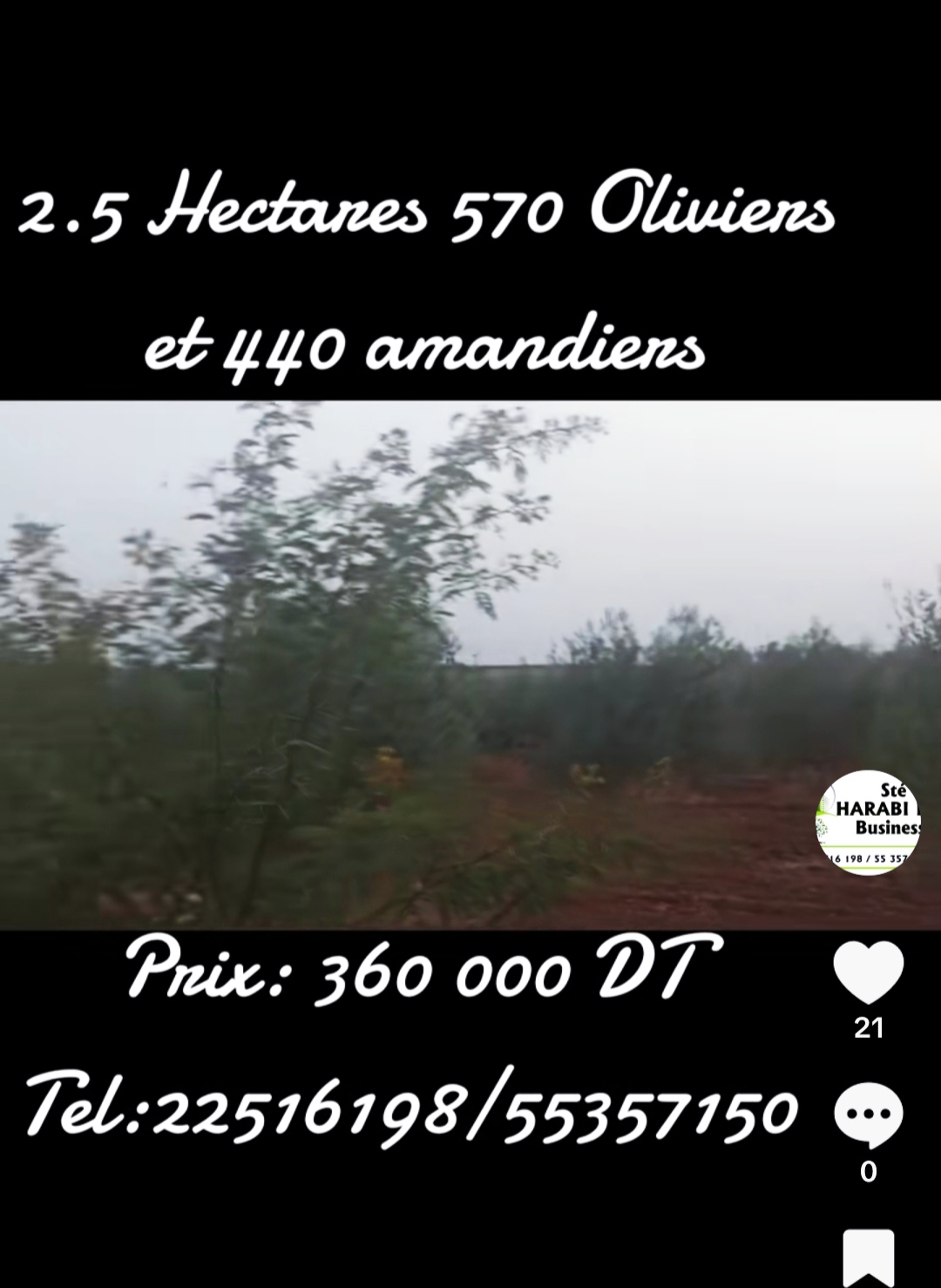 Bir Mcherga&nbsp;Bir Mcherga&nbsp;Terrain&nbsp;Terrain agricole&nbsp;Terrain 570 oliviers et 440 amandiers