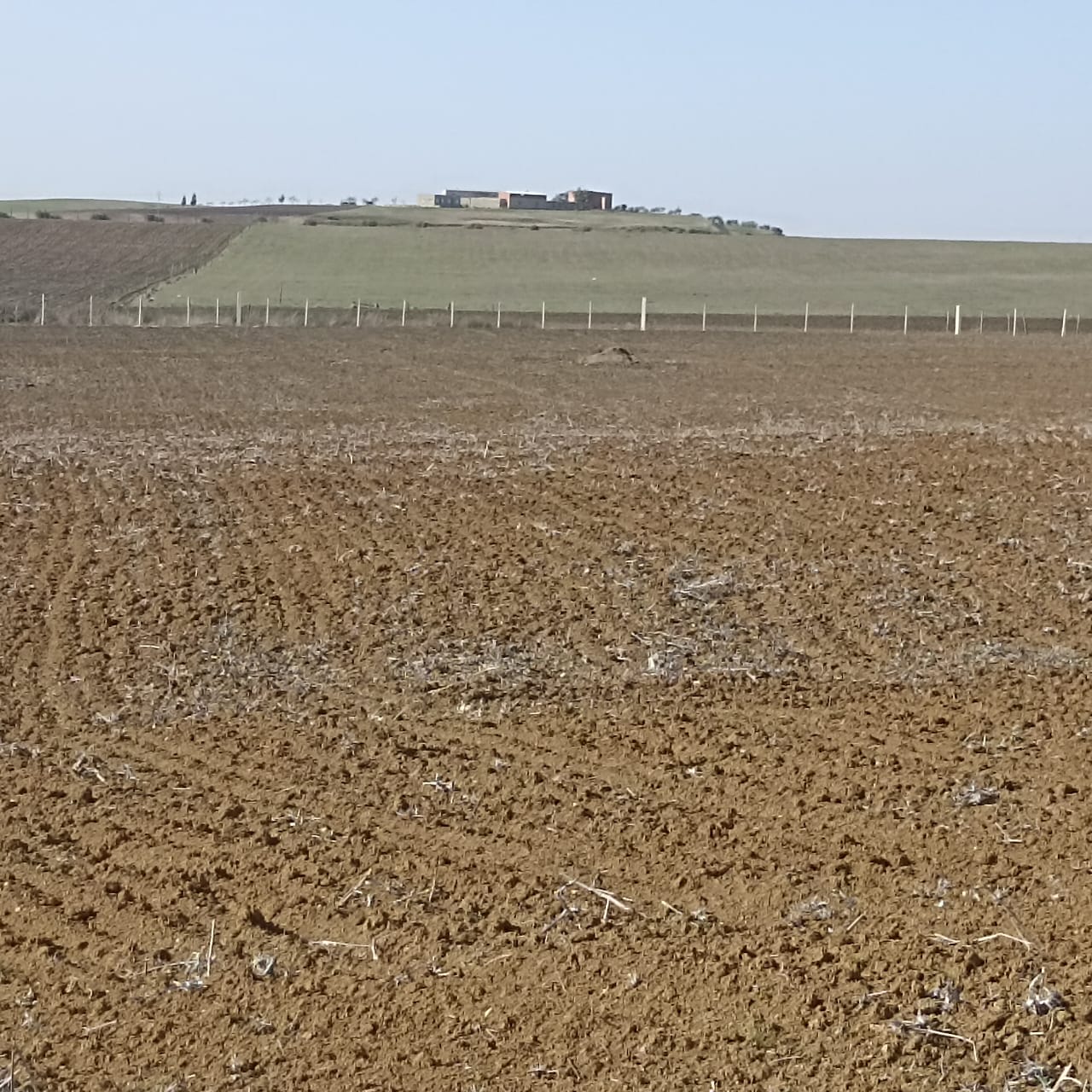 Terrain Terrain agricole